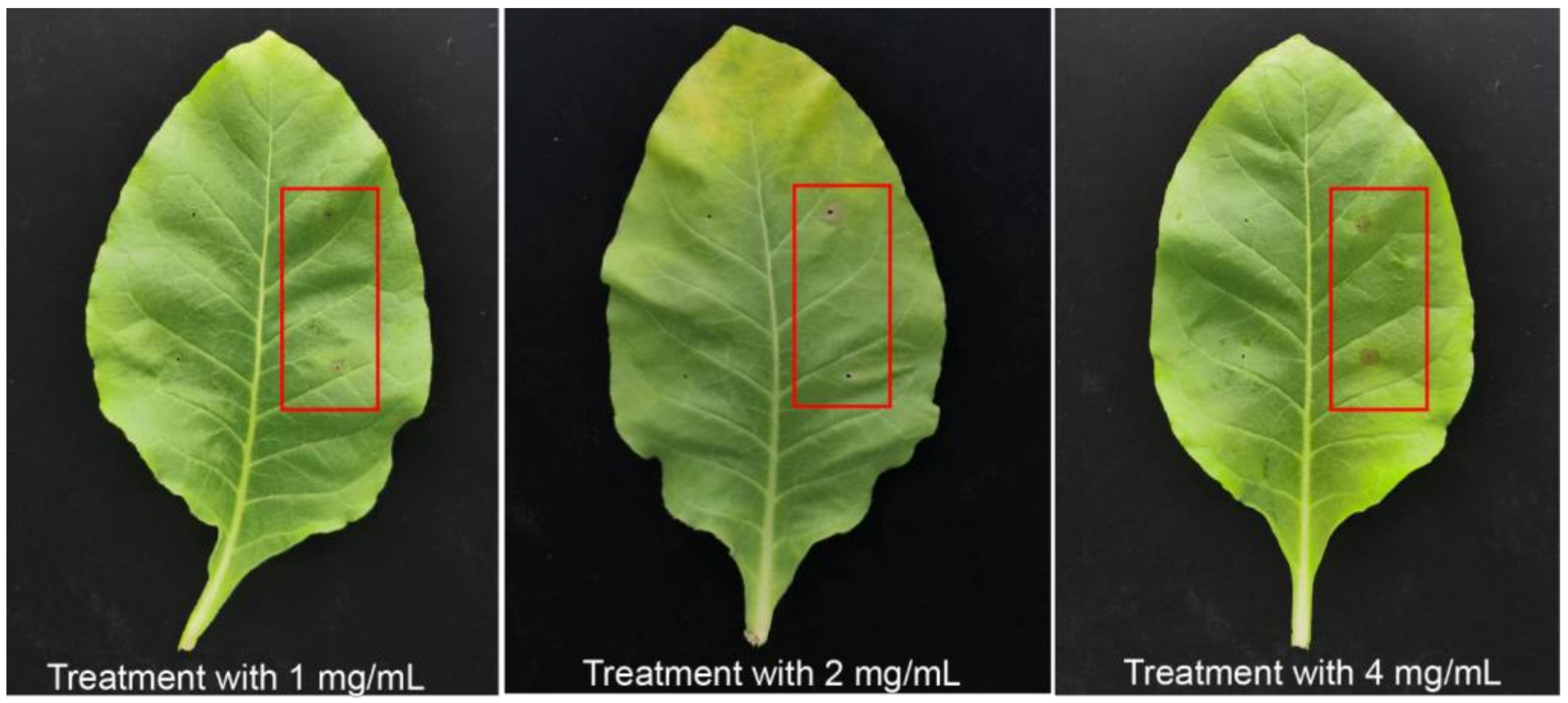 Molecules 28 00790 g005