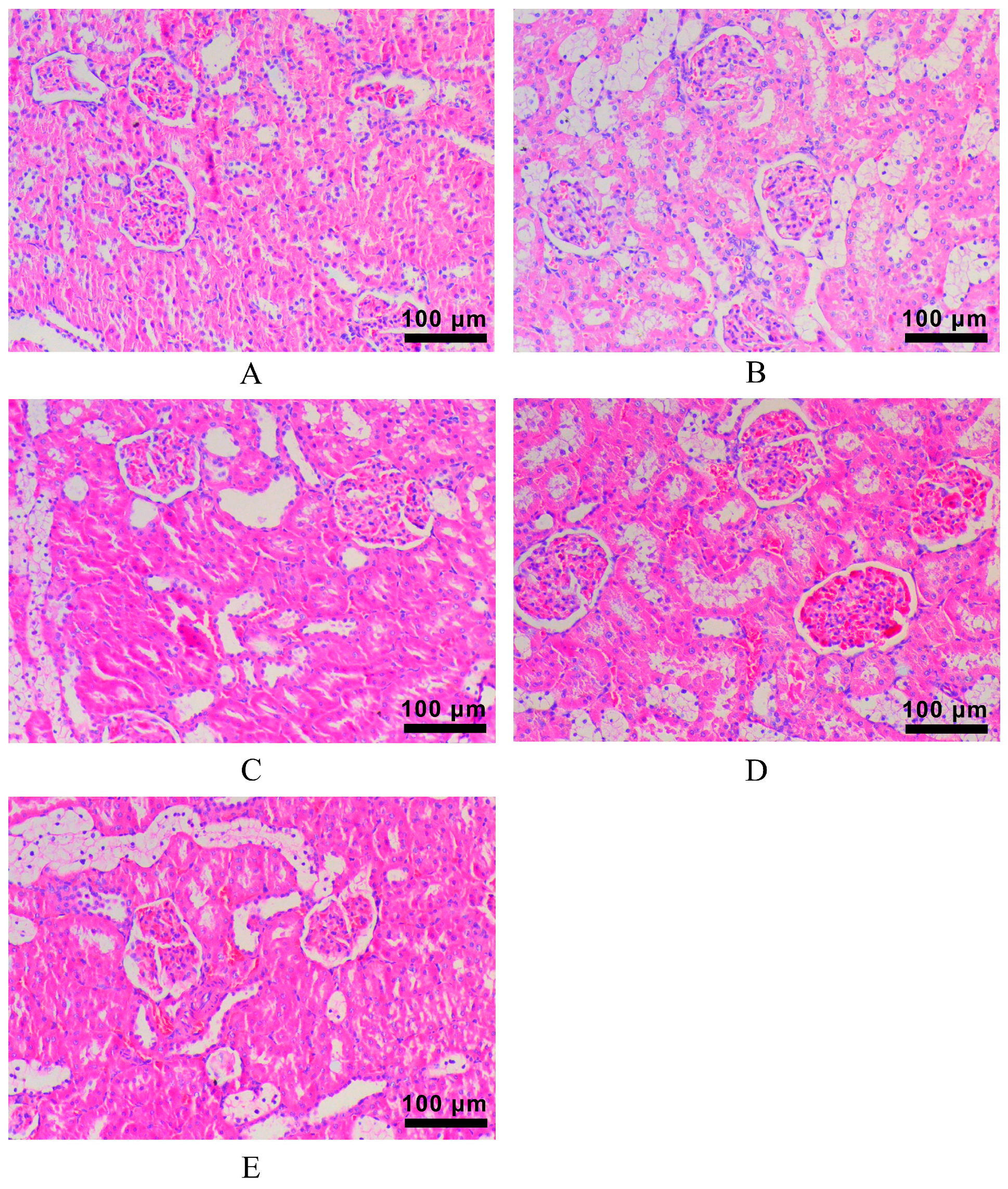 Molecules 28 00791 g007