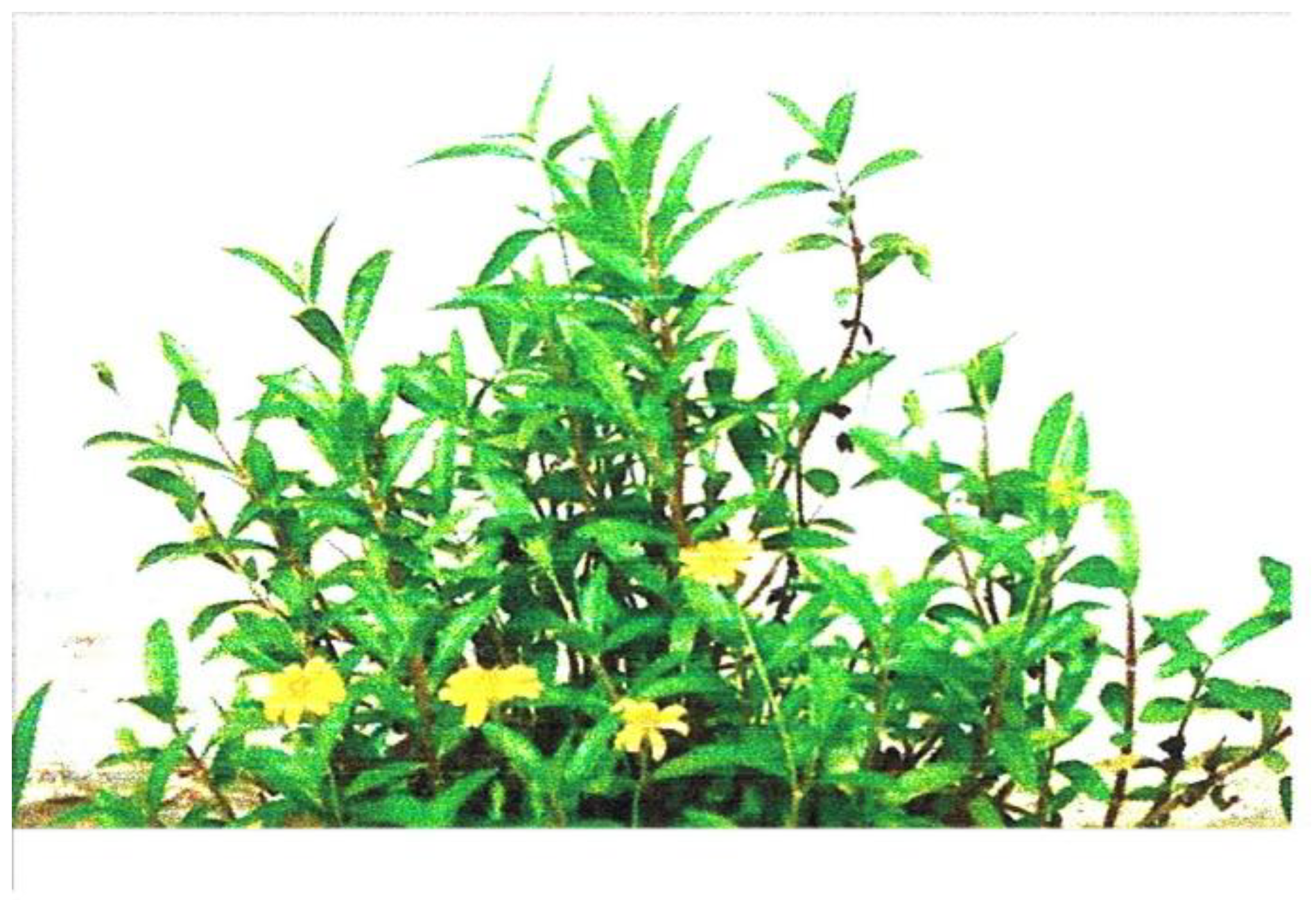 Molecules 28 00793 g005