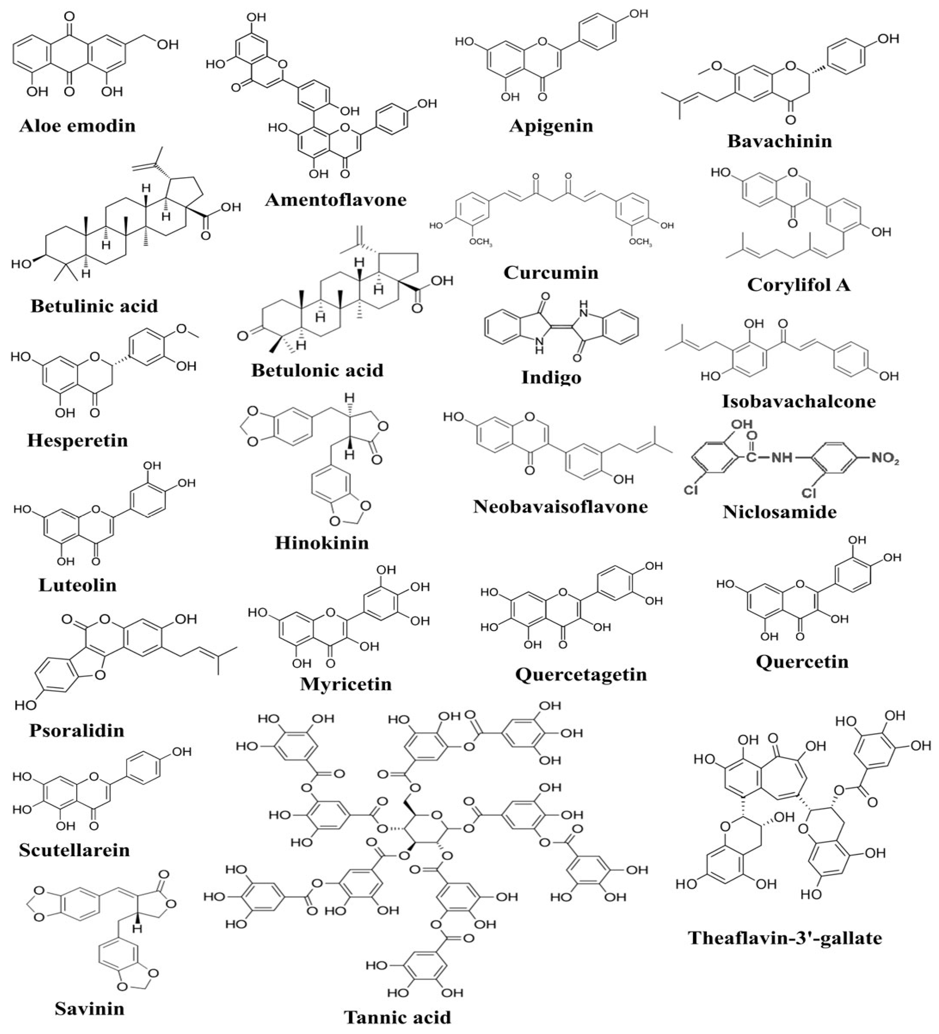Molecules 28 00795 g001