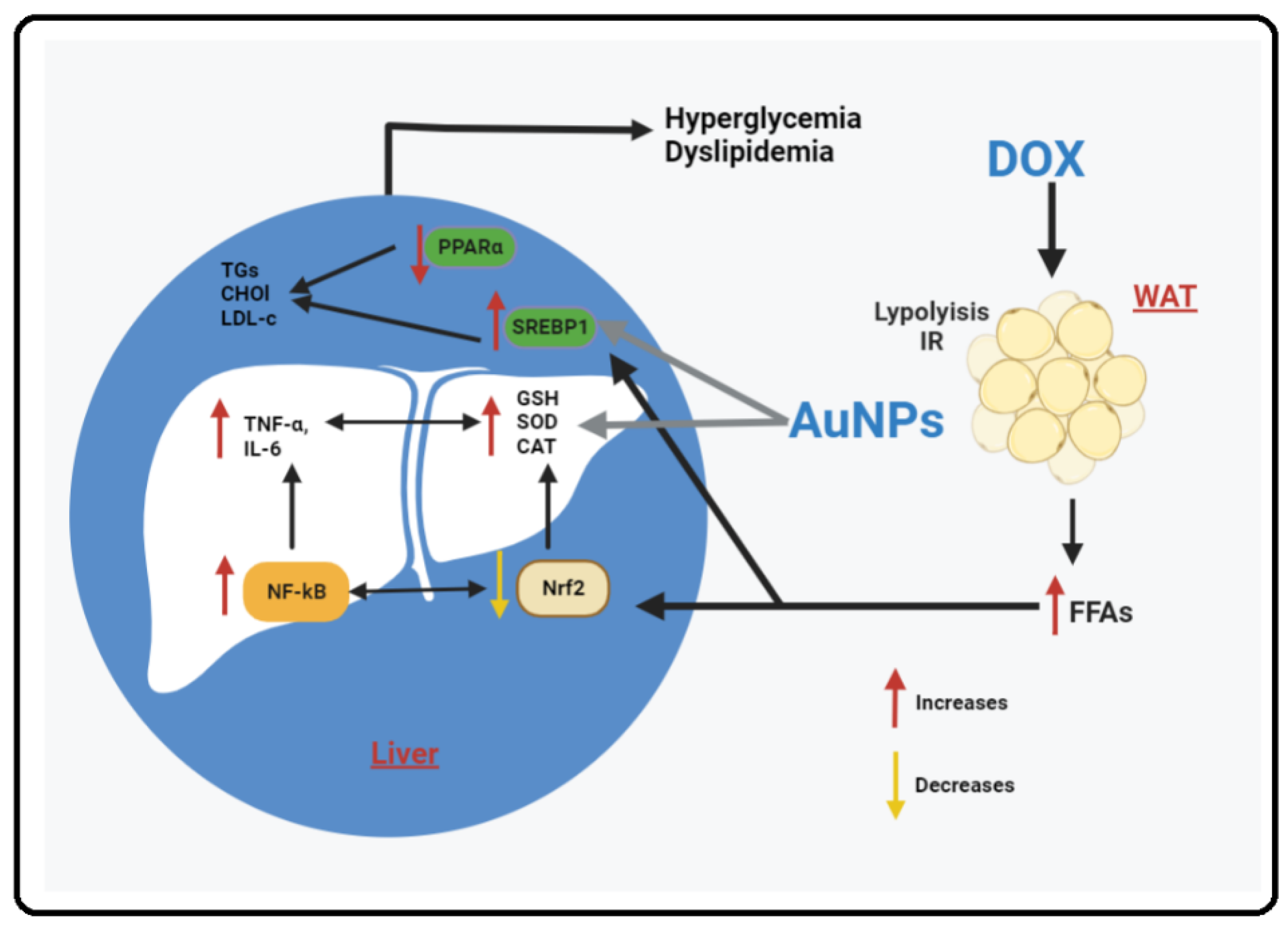 Molecules 28 00796 g006