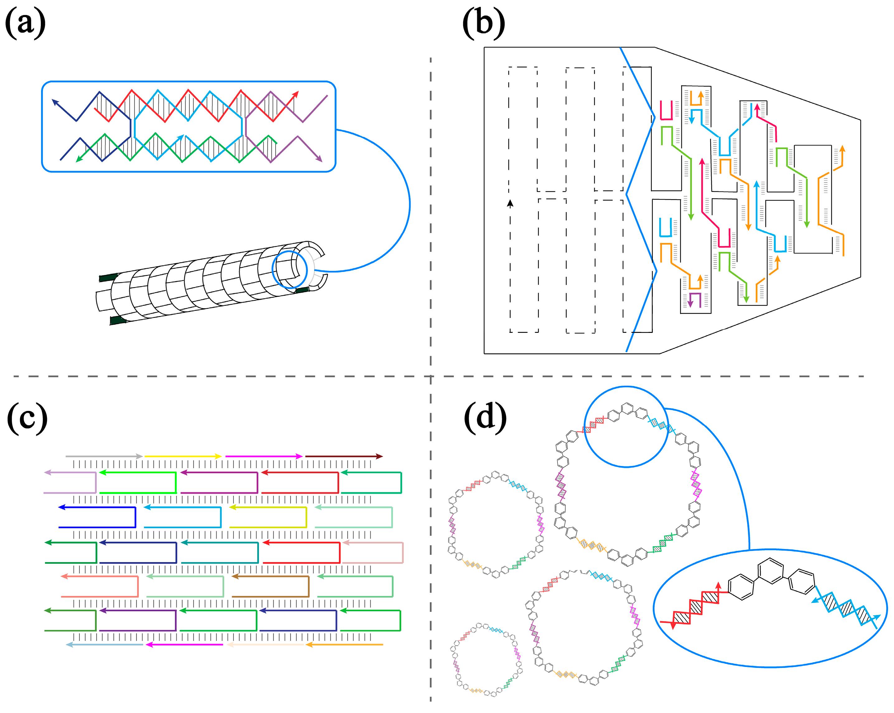 Molecules 28 00797 g001