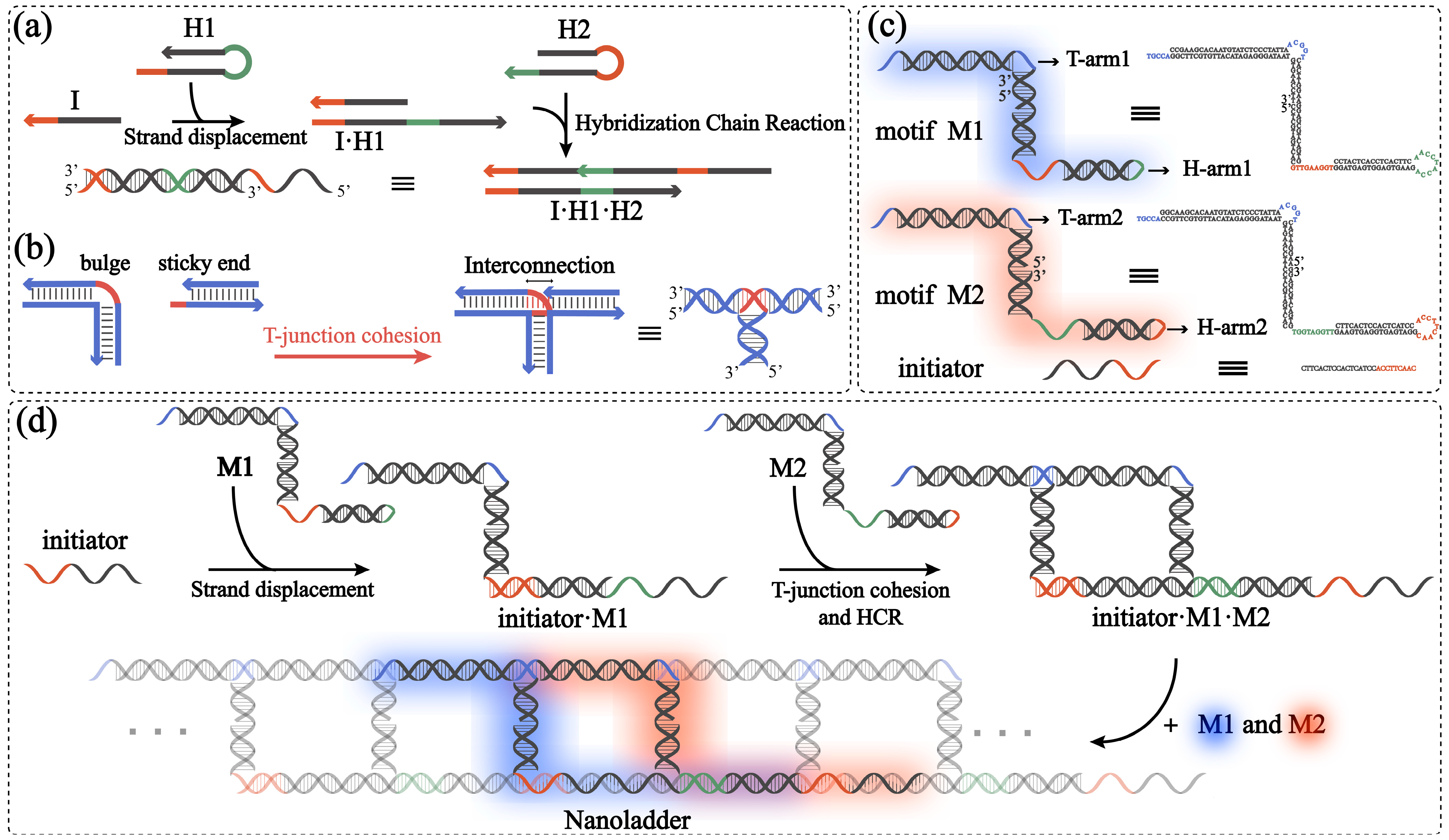 Molecules 28 00797 g002