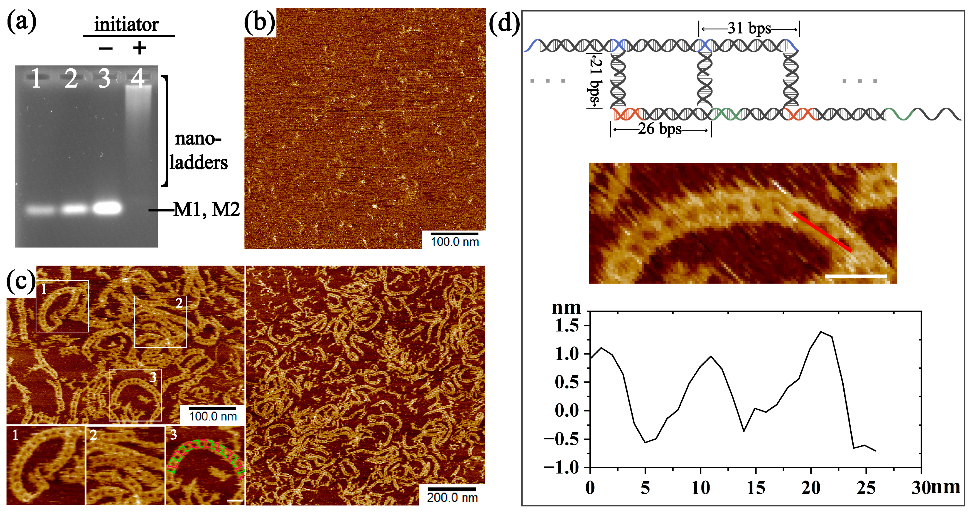 Molecules 28 00797 g003