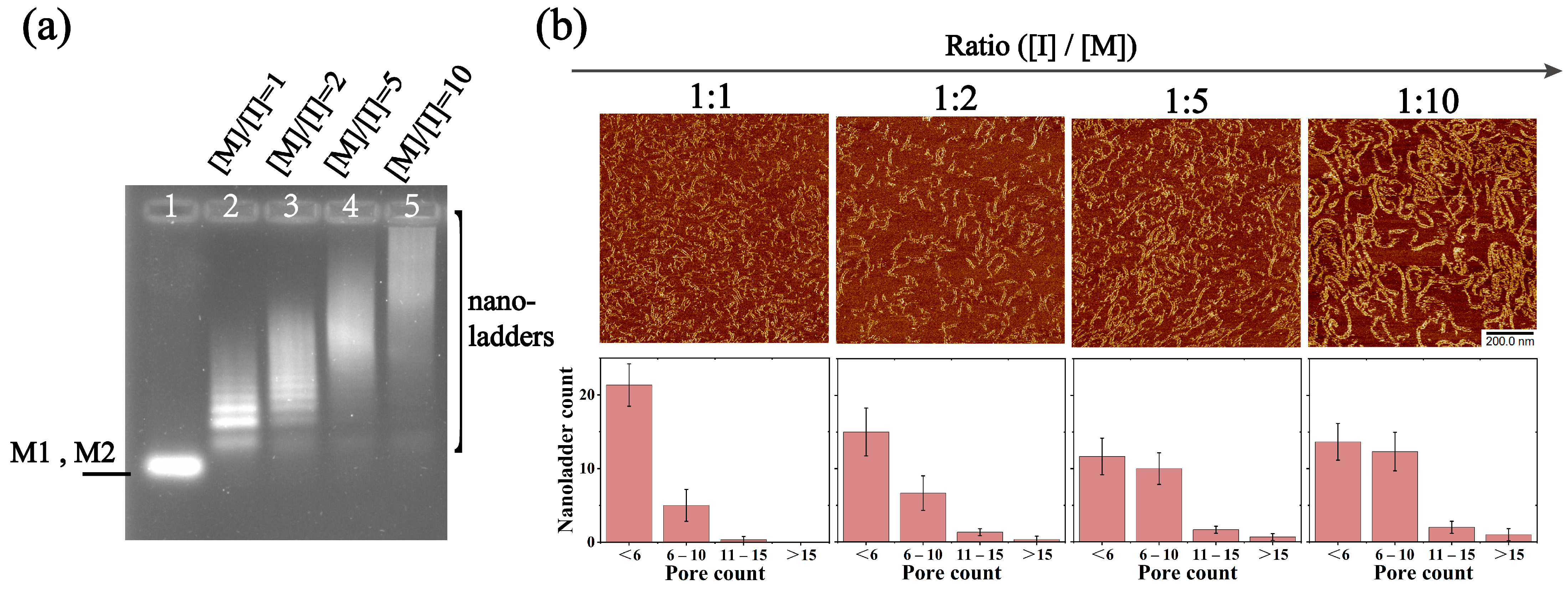 Molecules 28 00797 g005