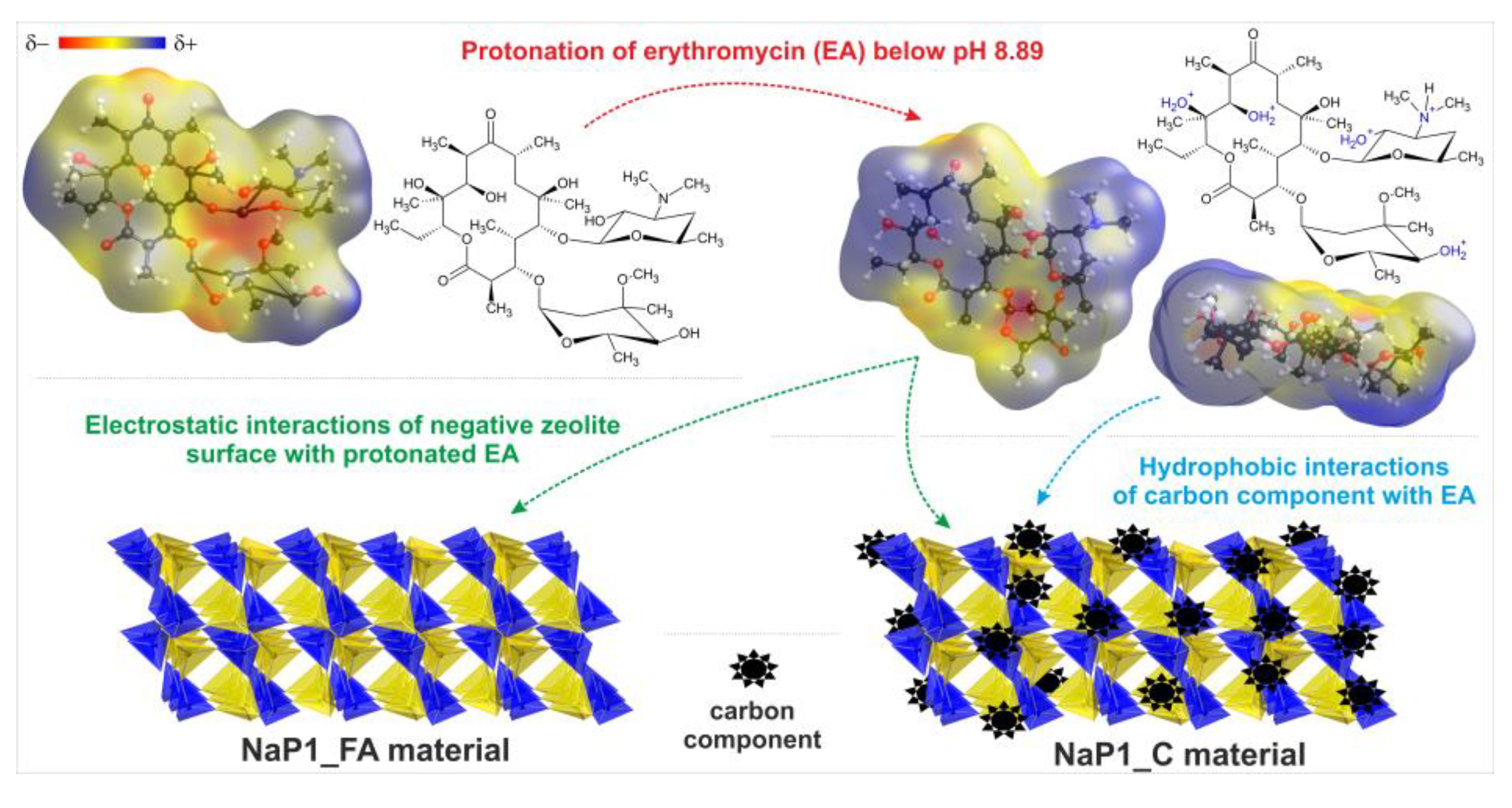 Molecules 28 00798 g007