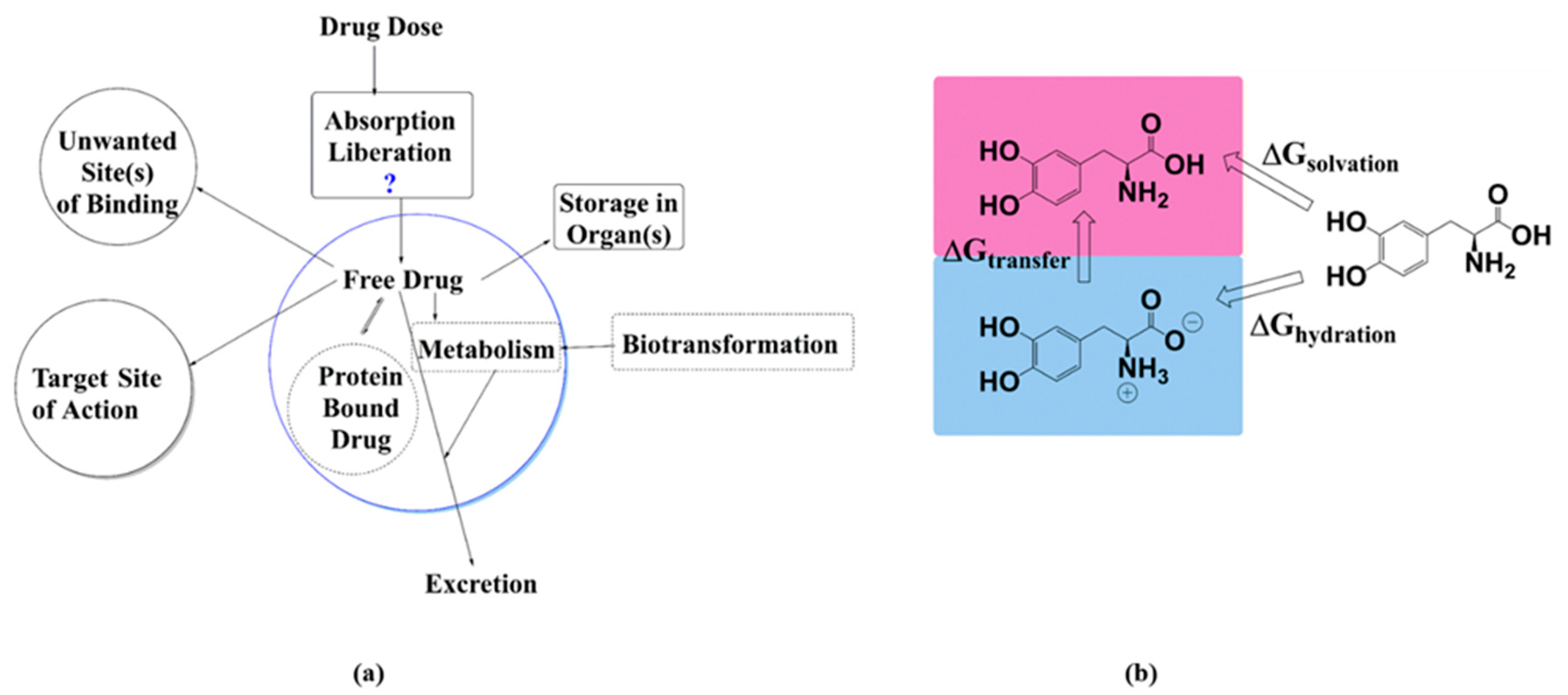 Molecules 28 00801 g001 Molecules 28 00801 g001