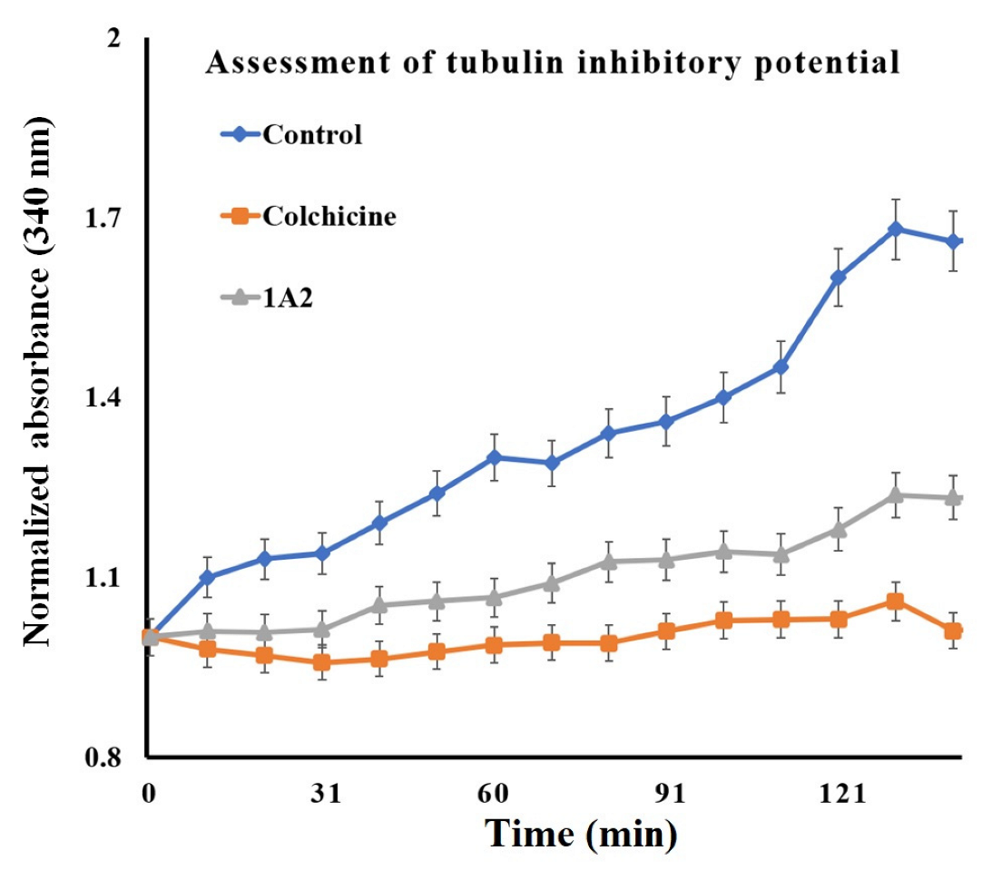 Molecules 28 00802 g005 Molecules 28 00802 g005