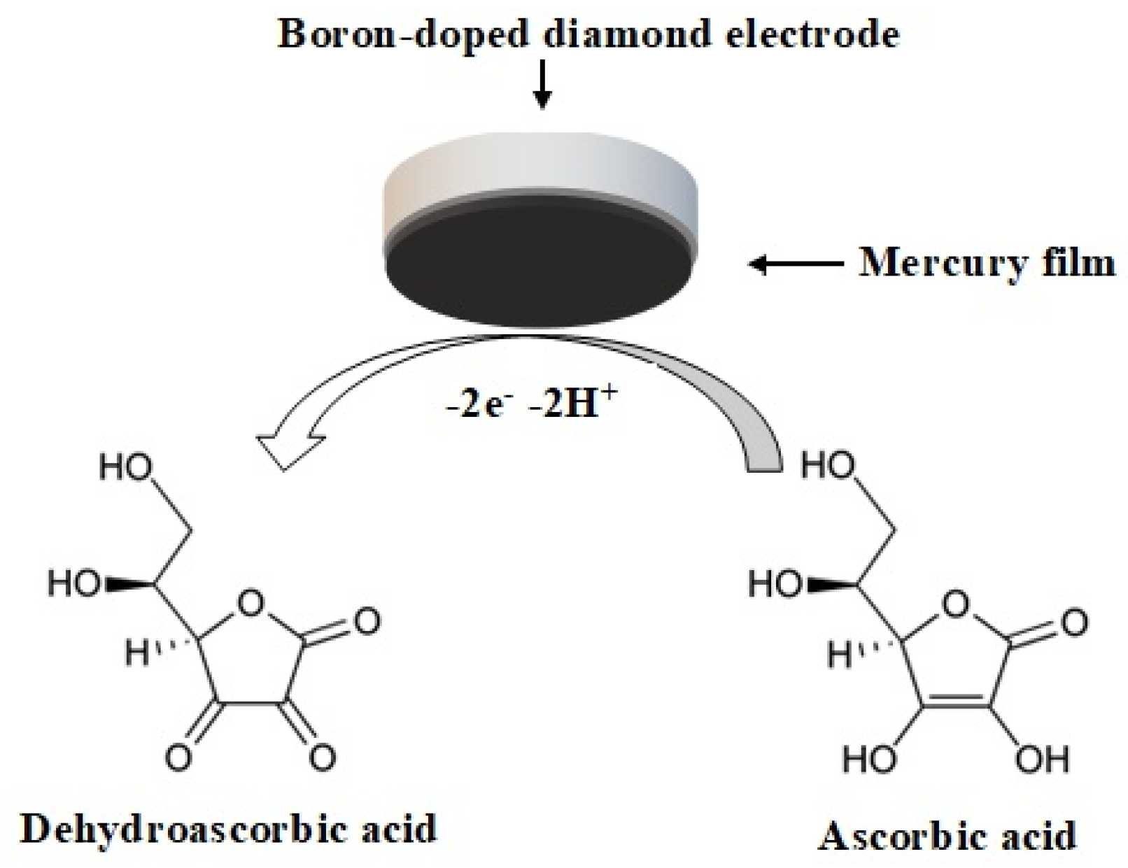 Molecules 28 00812 g001