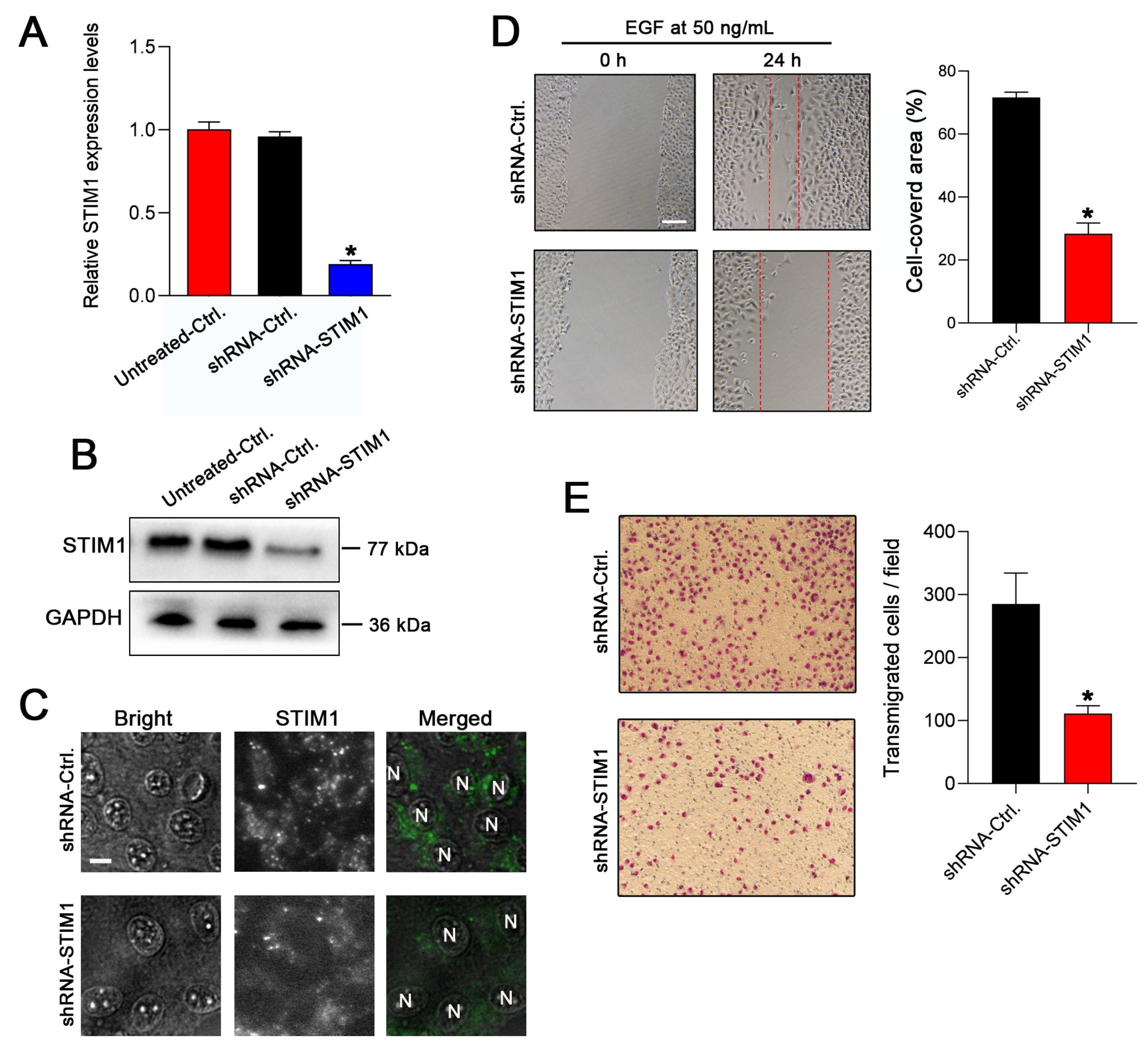 Molecules 28 00818 g001