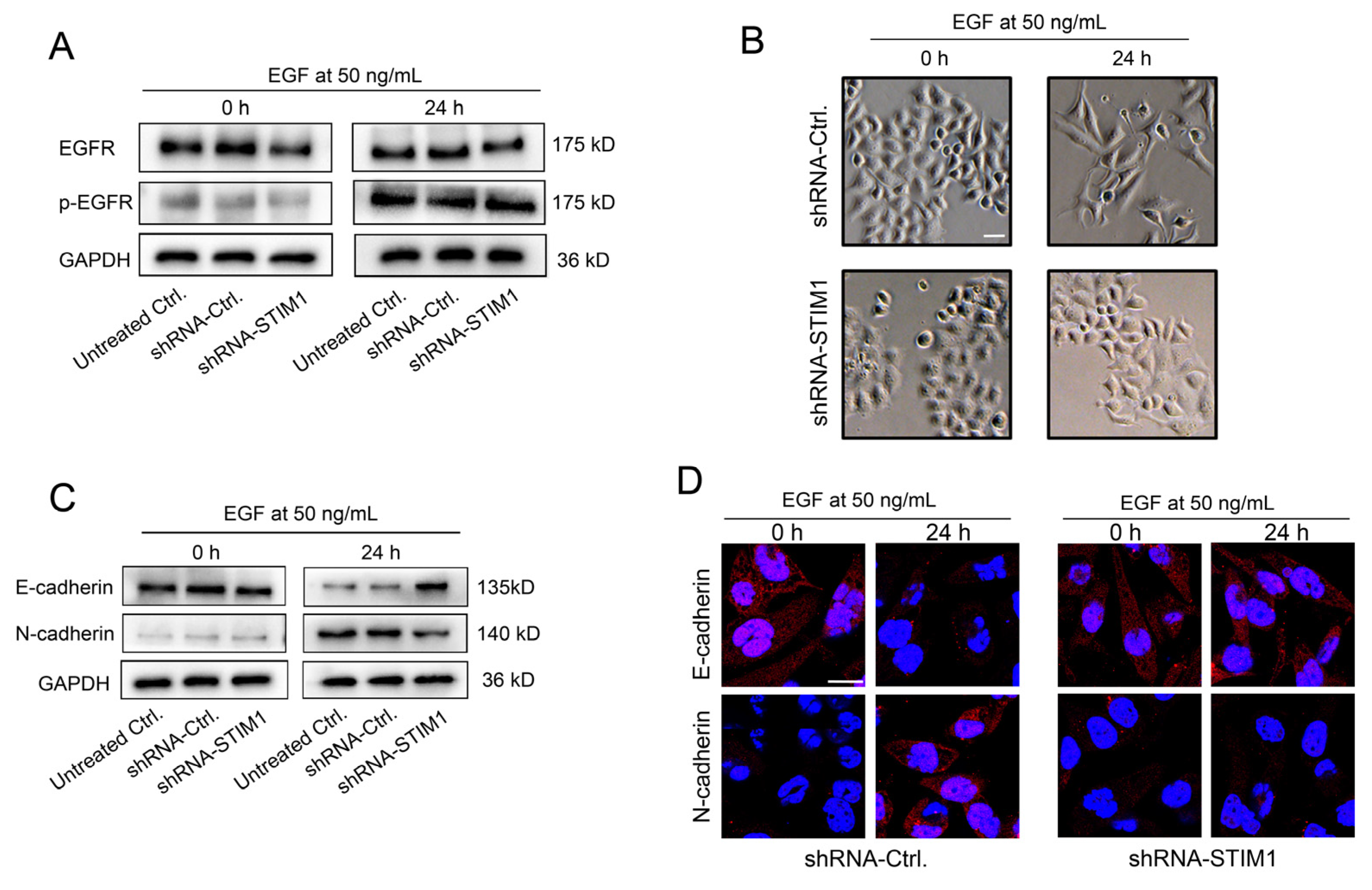 Molecules 28 00818 g002