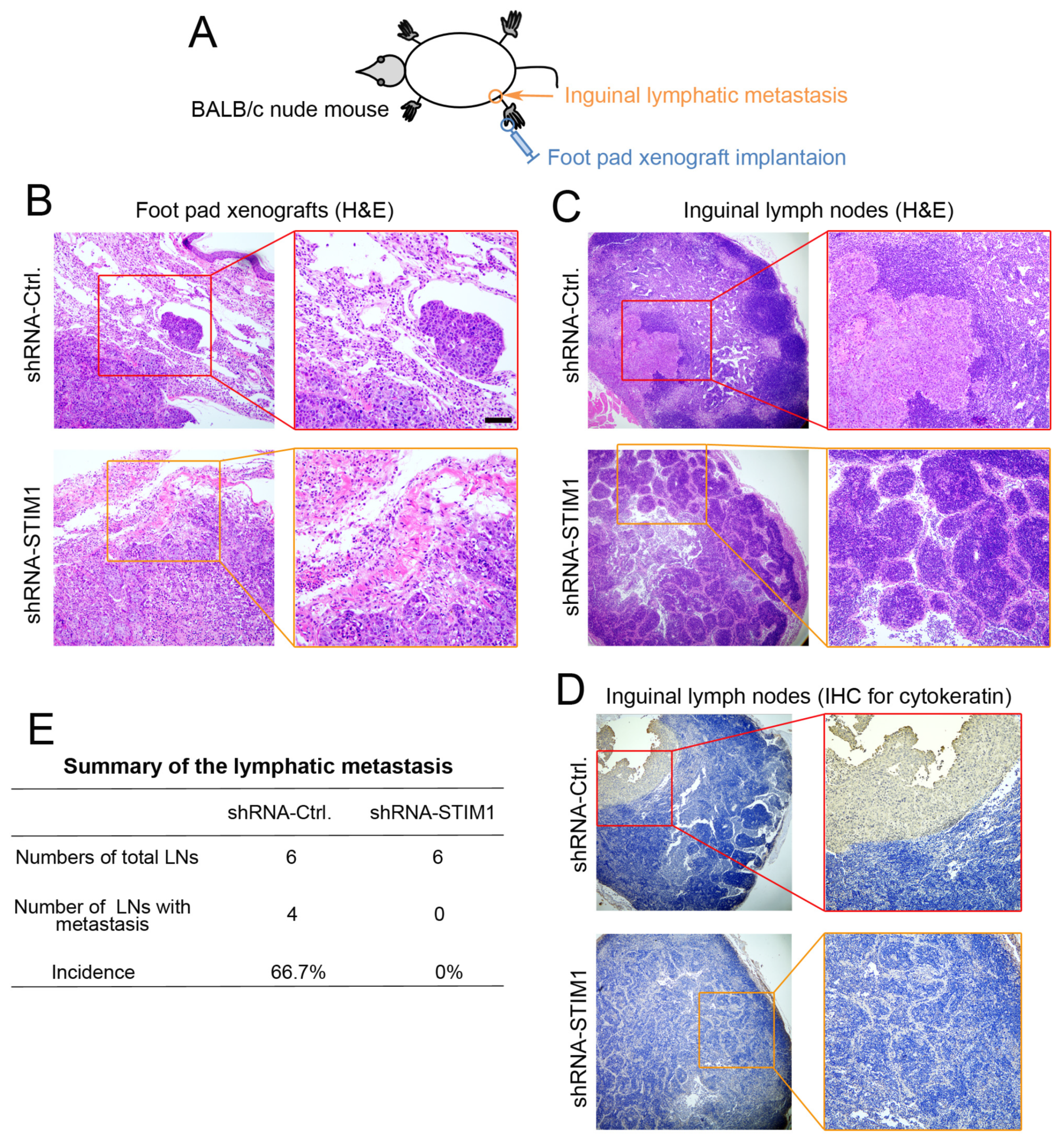 Molecules 28 00818 g003