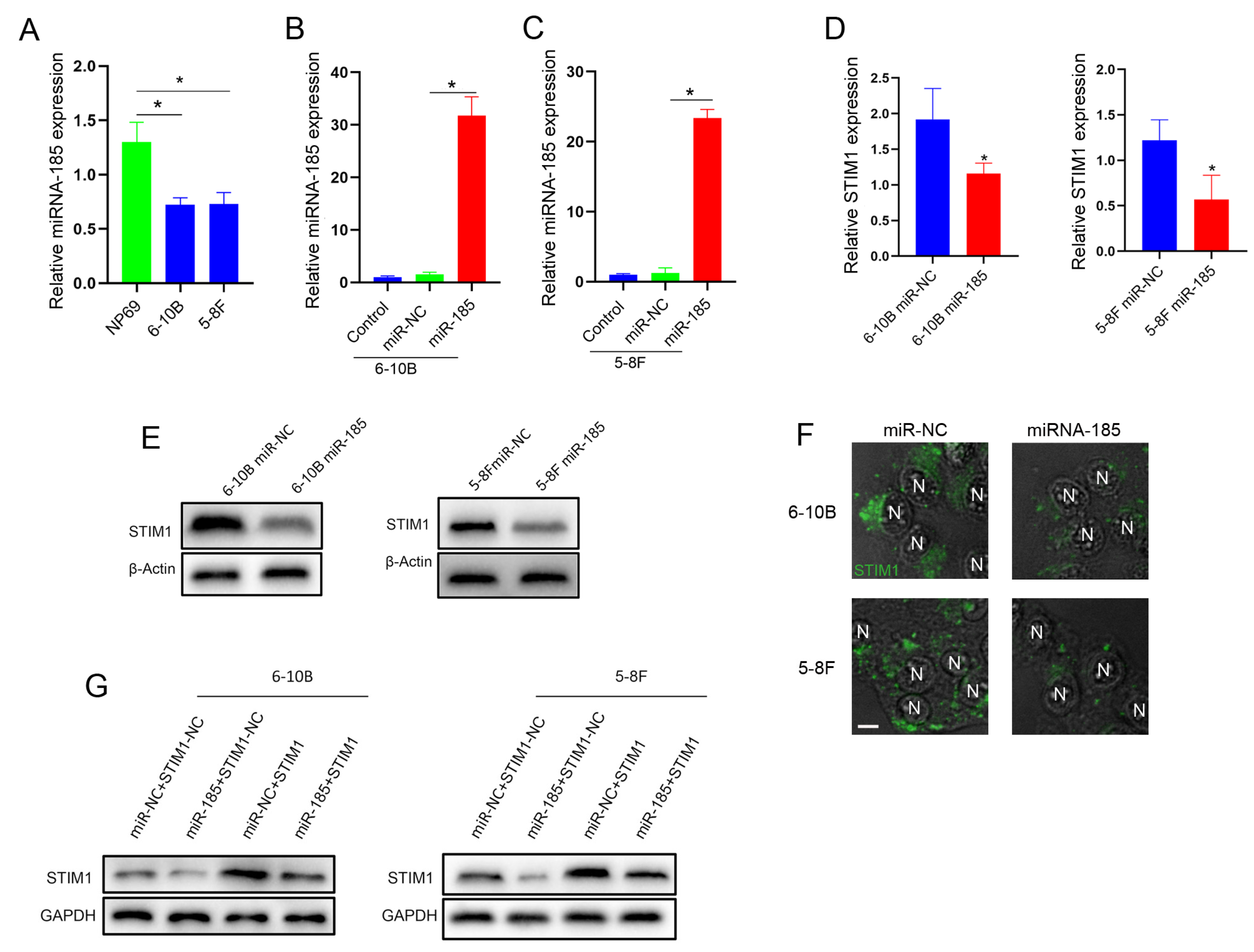Molecules 28 00818 g005