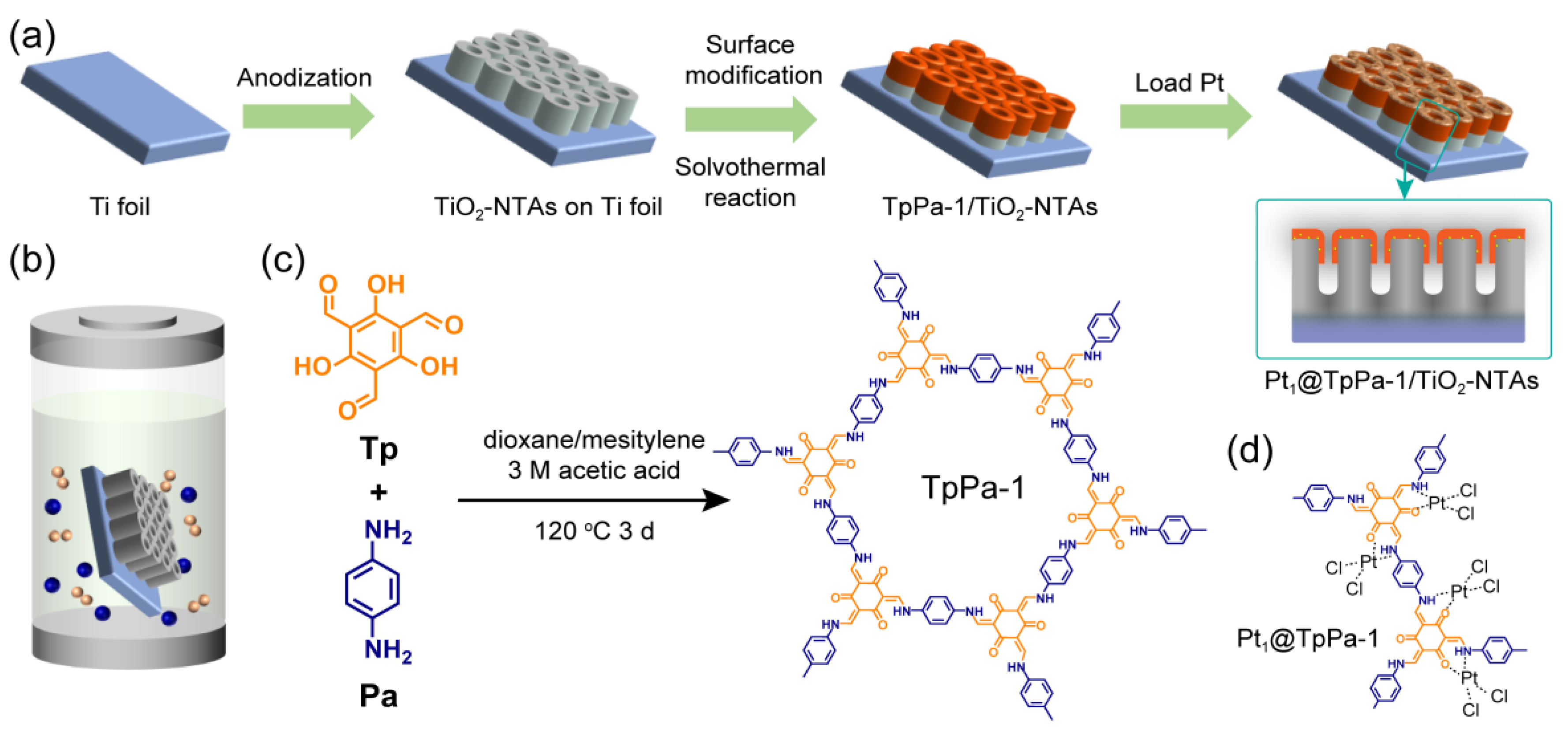 Molecules 28 00822 g001
