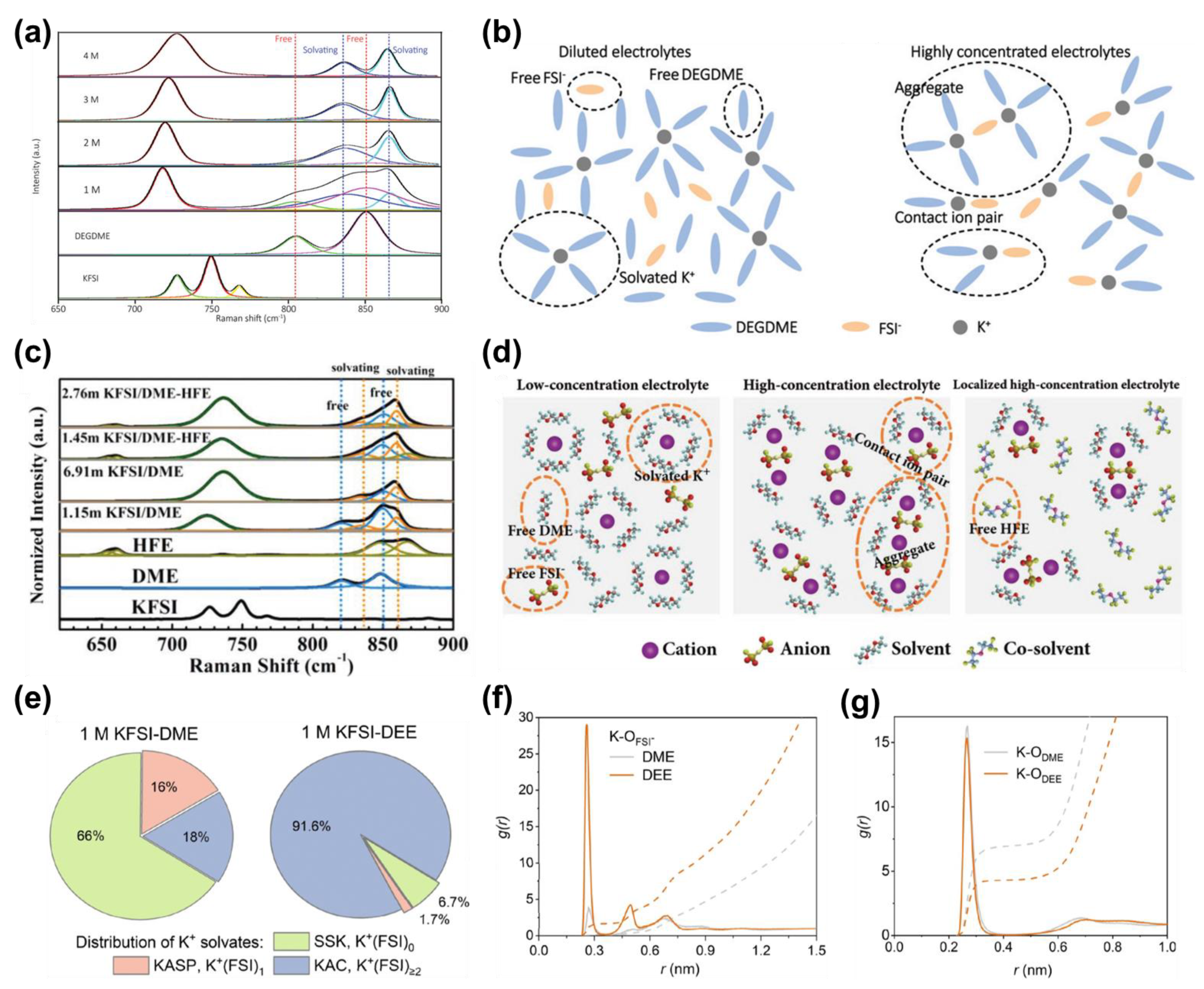 Molecules 28 00823 g004