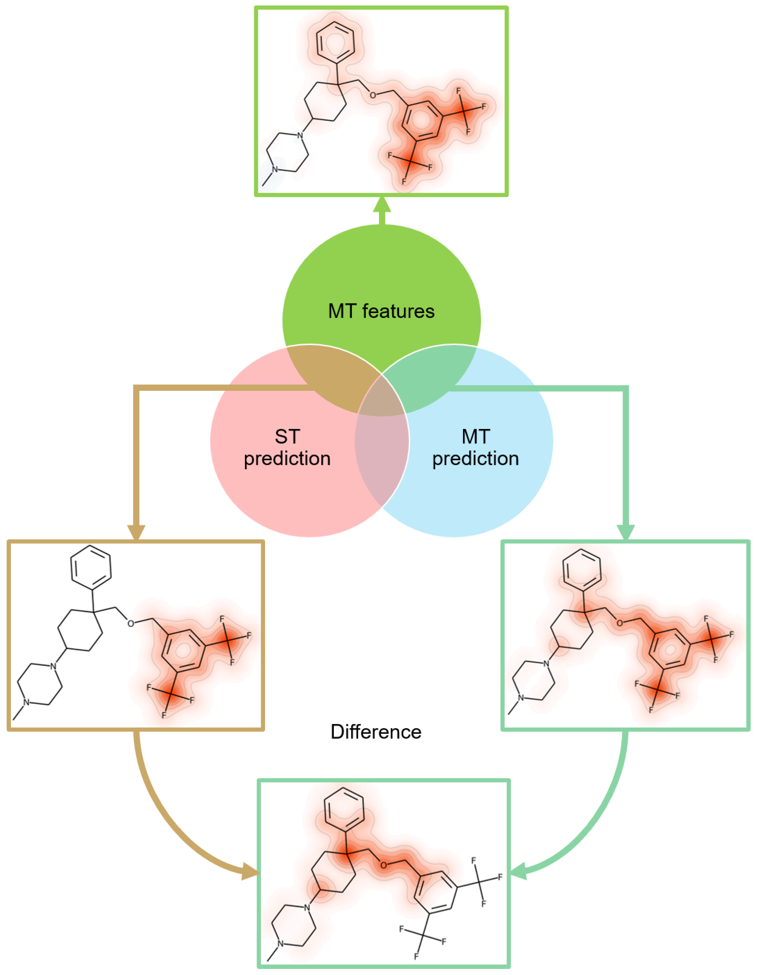 Molecules 28 00825 g004
