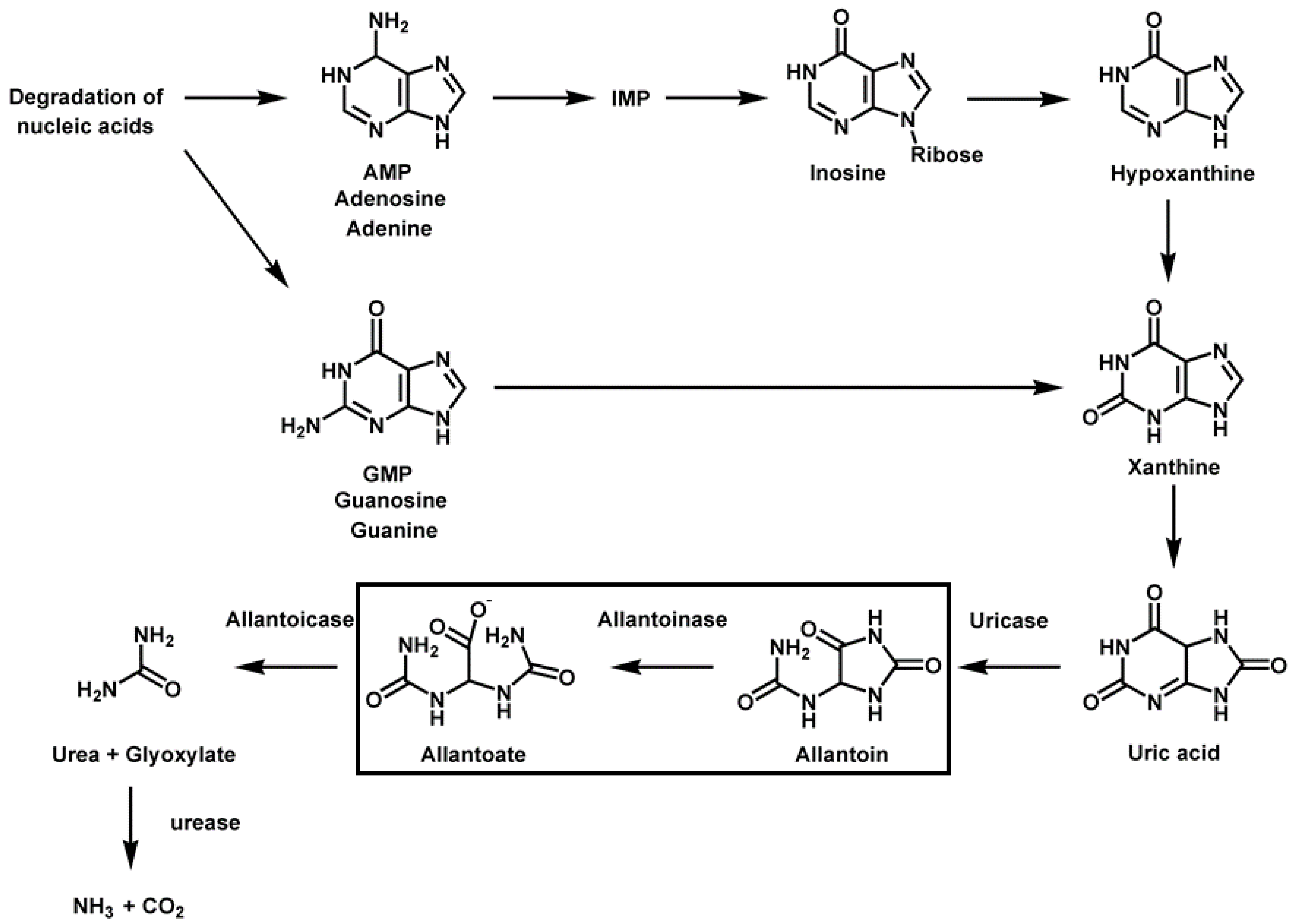 Molecules 28 00827 g001 Molecules 28 00827 g001