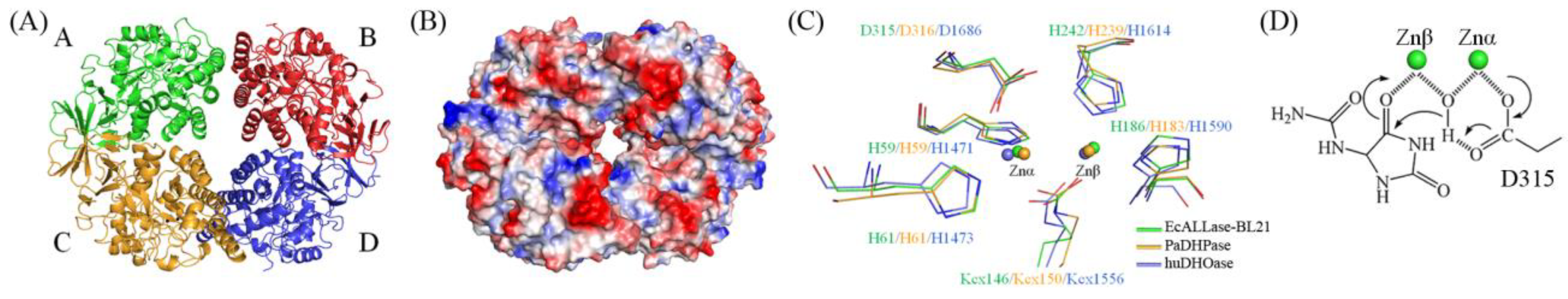 Molecules 28 00827 g003 Molecules 28 00827 g003