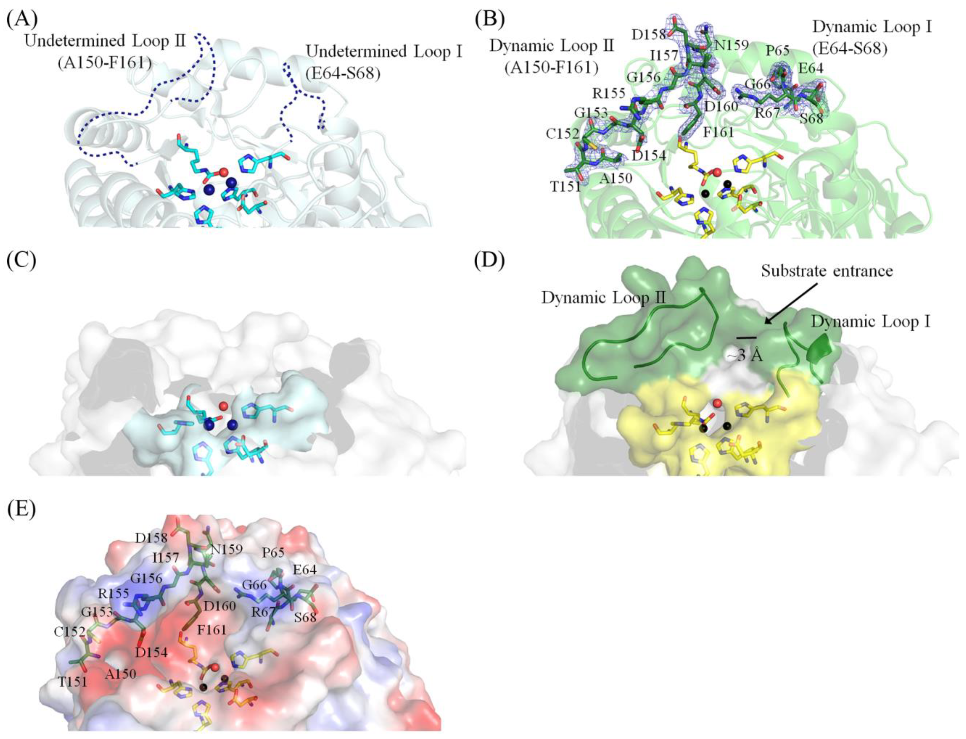 Molecules 28 00827 g004 Molecules 28 00827 g004