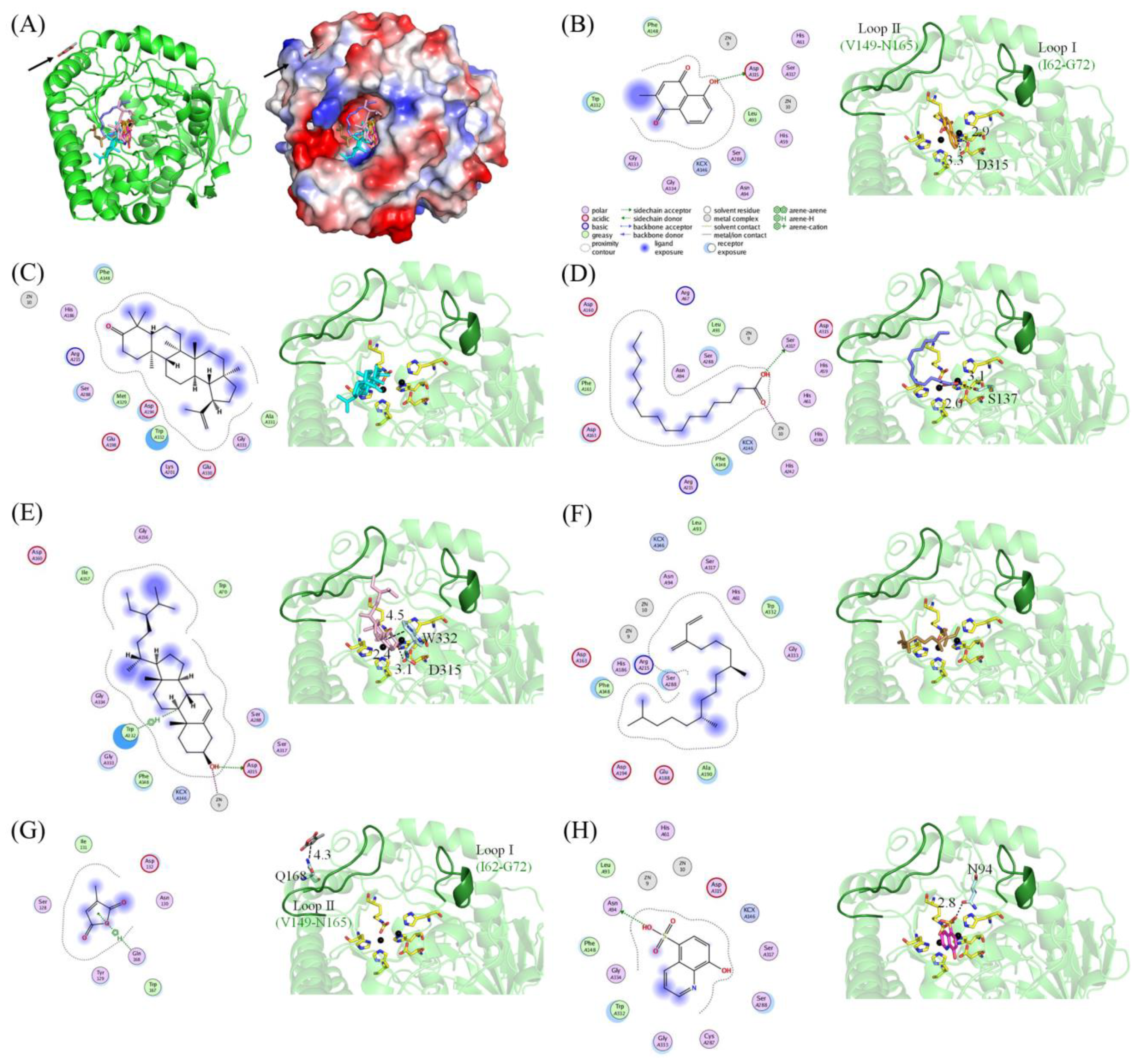 Molecules 28 00827 g005 Molecules 28 00827 g005