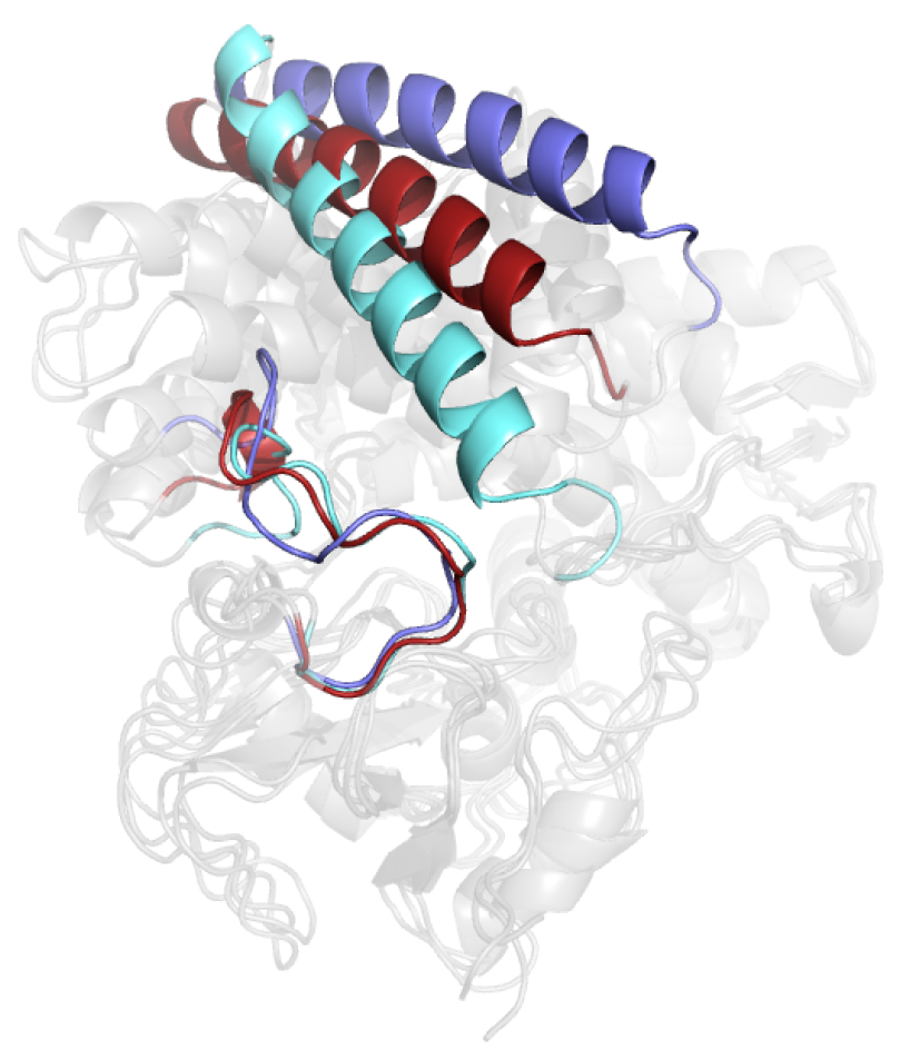 Molecules 28 00832 g005