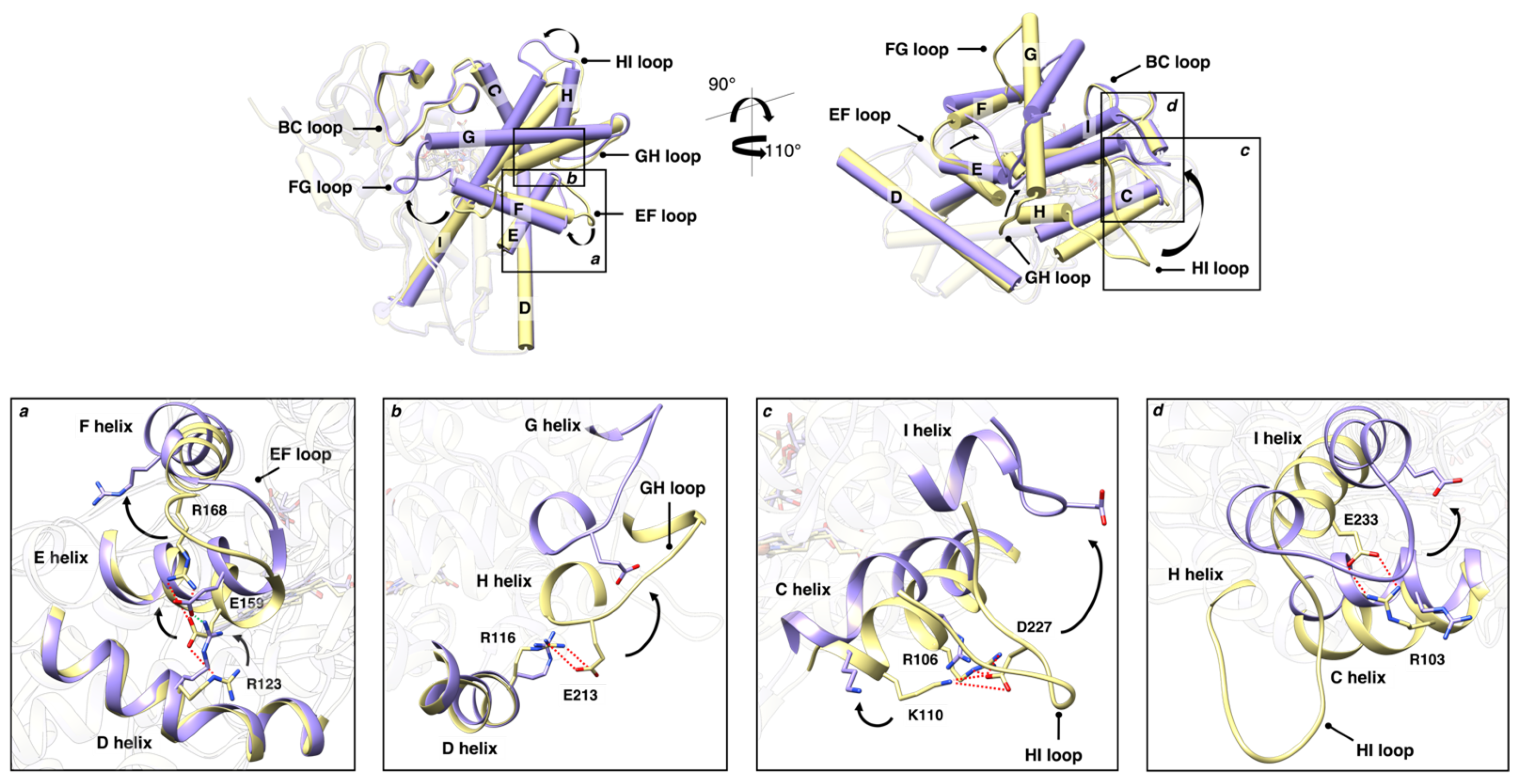 Molecules 28 00832 g009