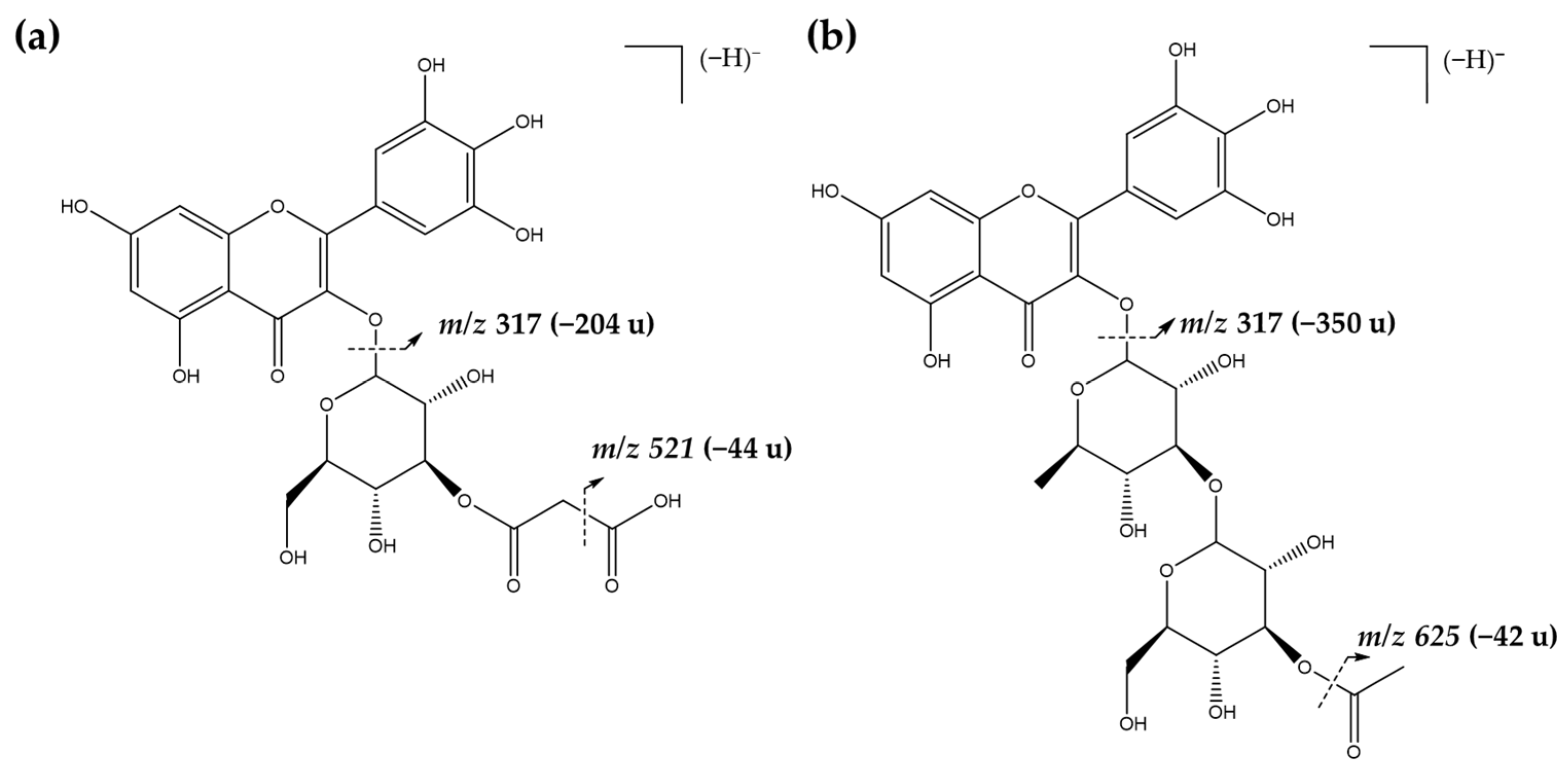 Molecules 28 00835 g003