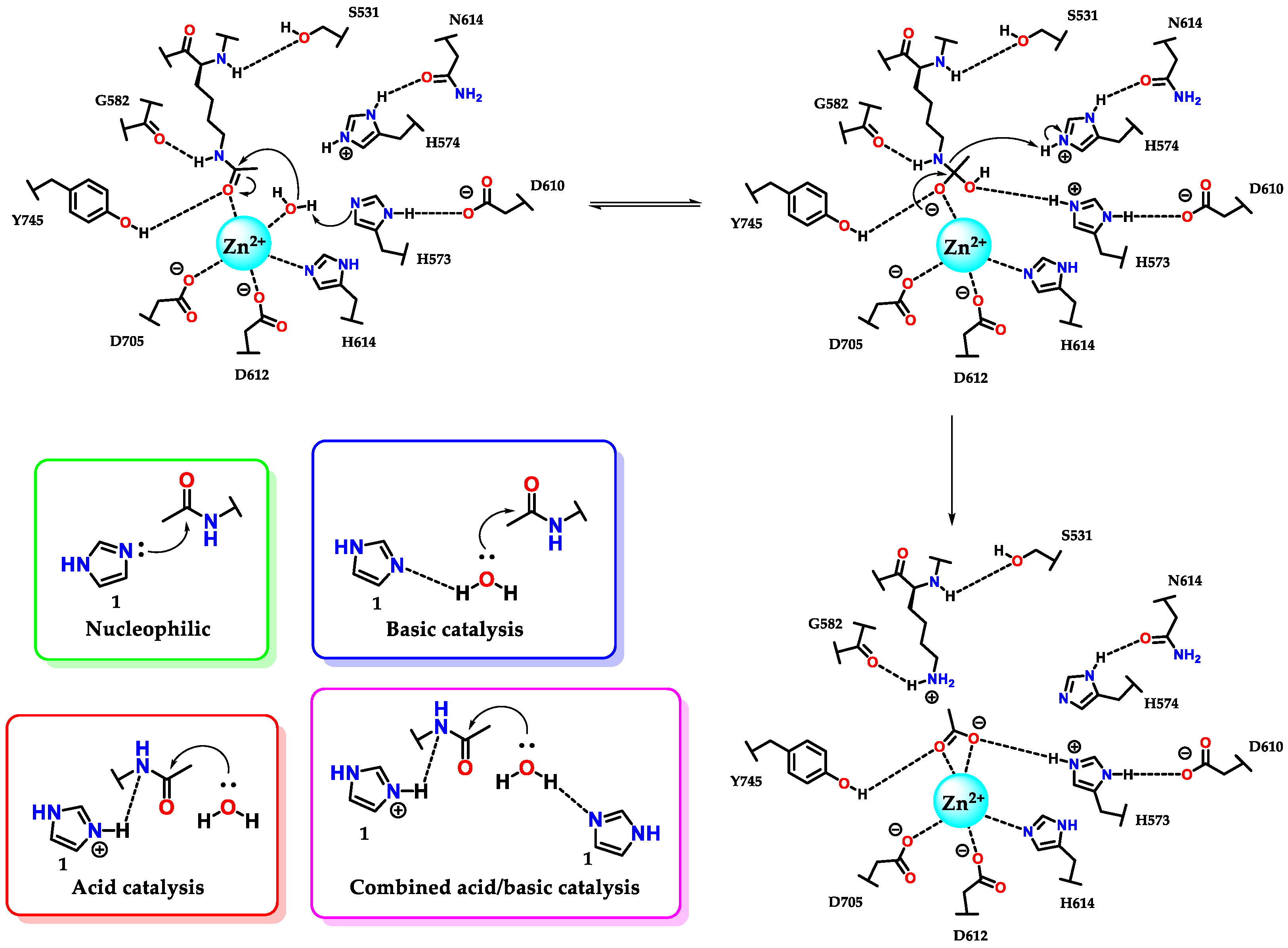 Molecules 28 00838 g029