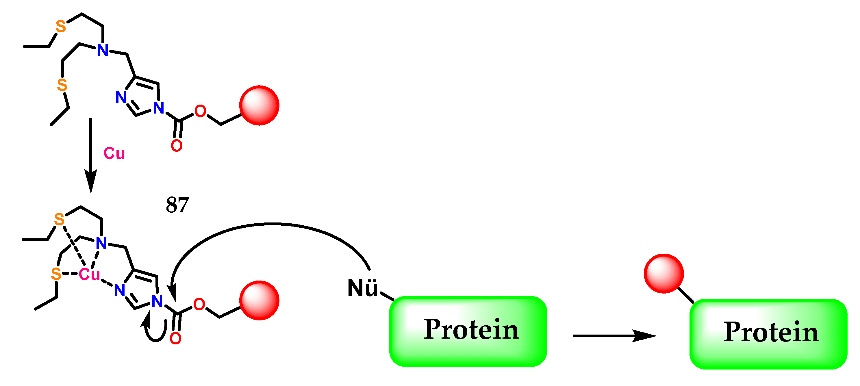 Molecules 28 00838 g035