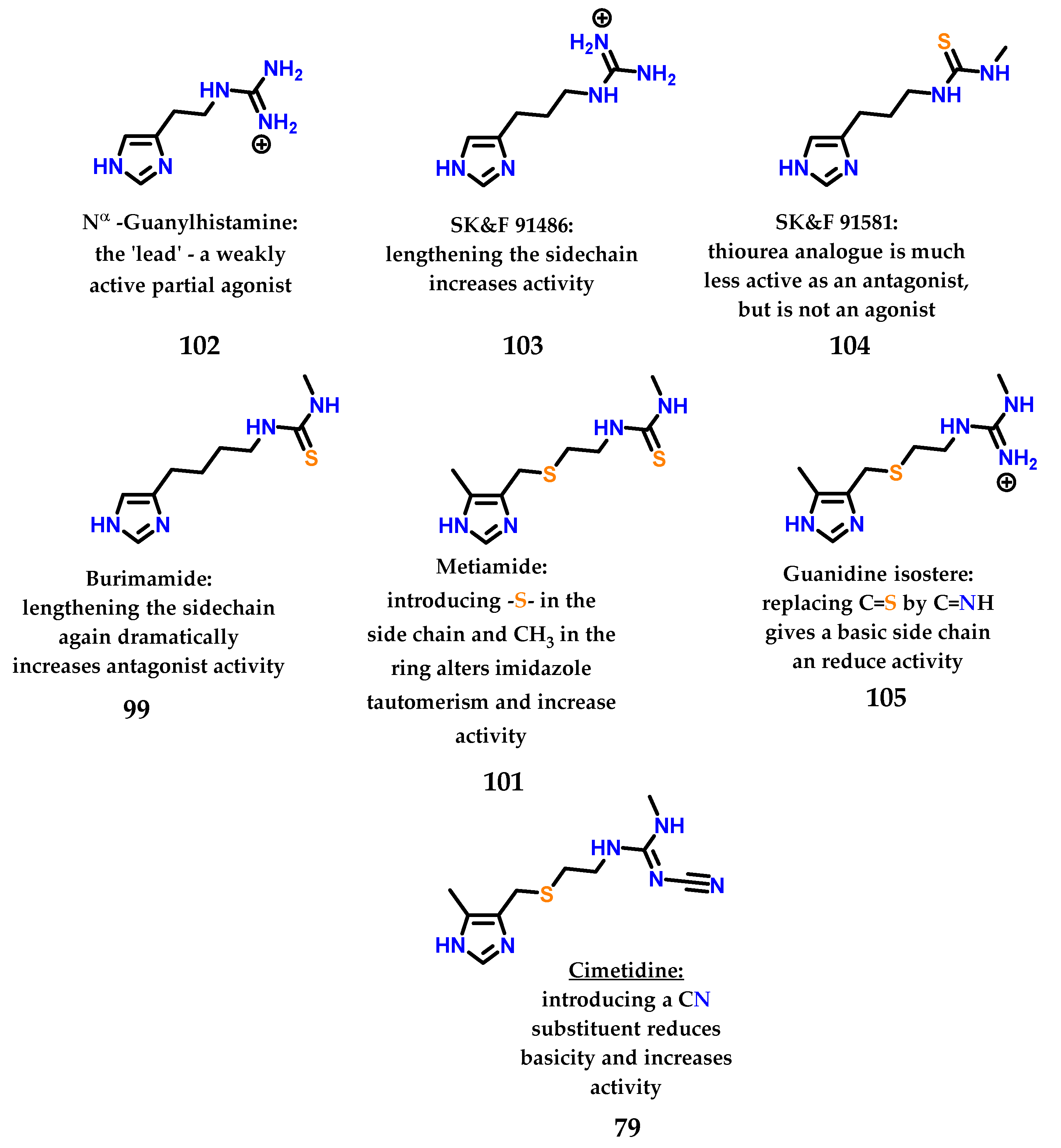 Molecules 28 00838 g042