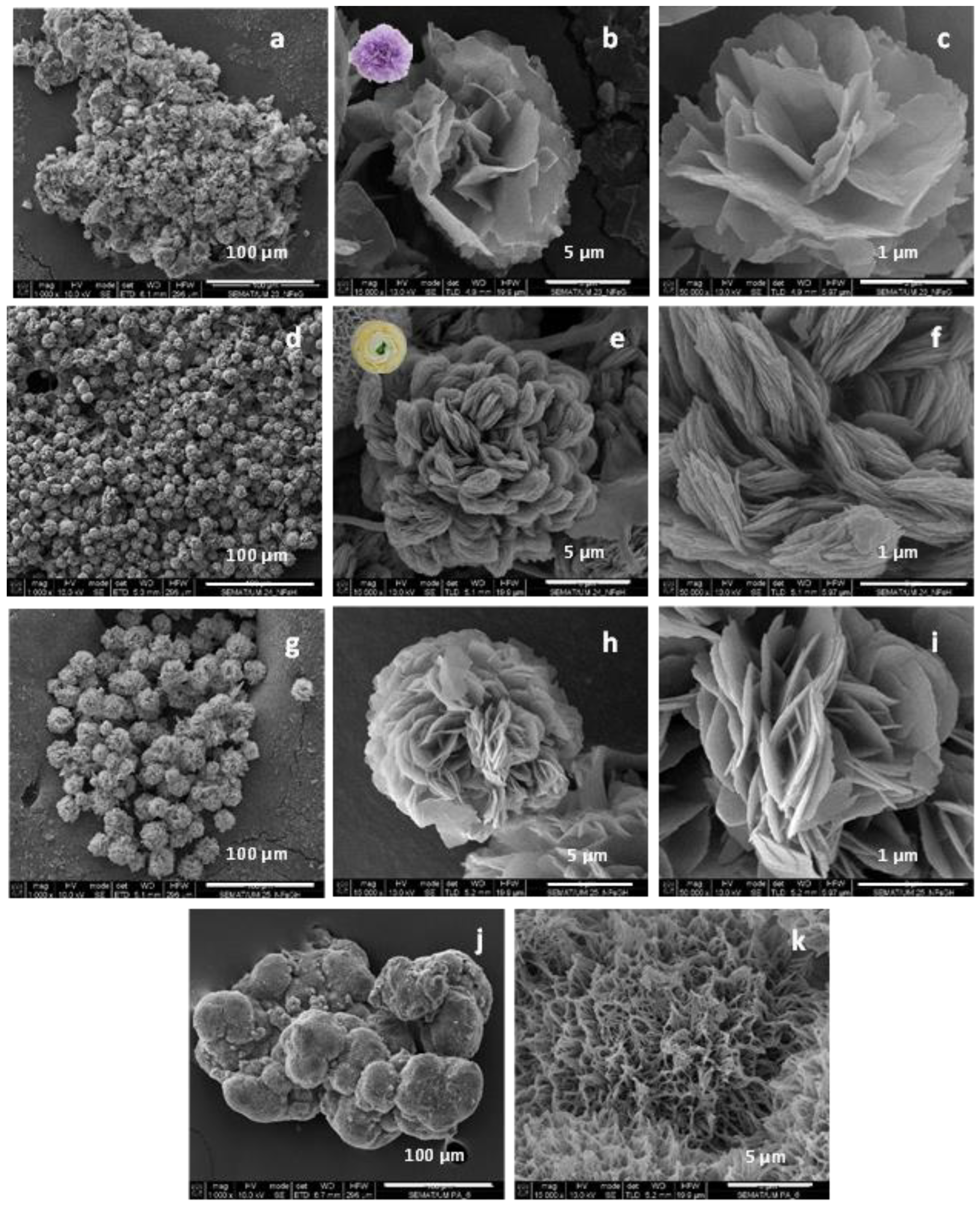 Molecules 28 00839 g002