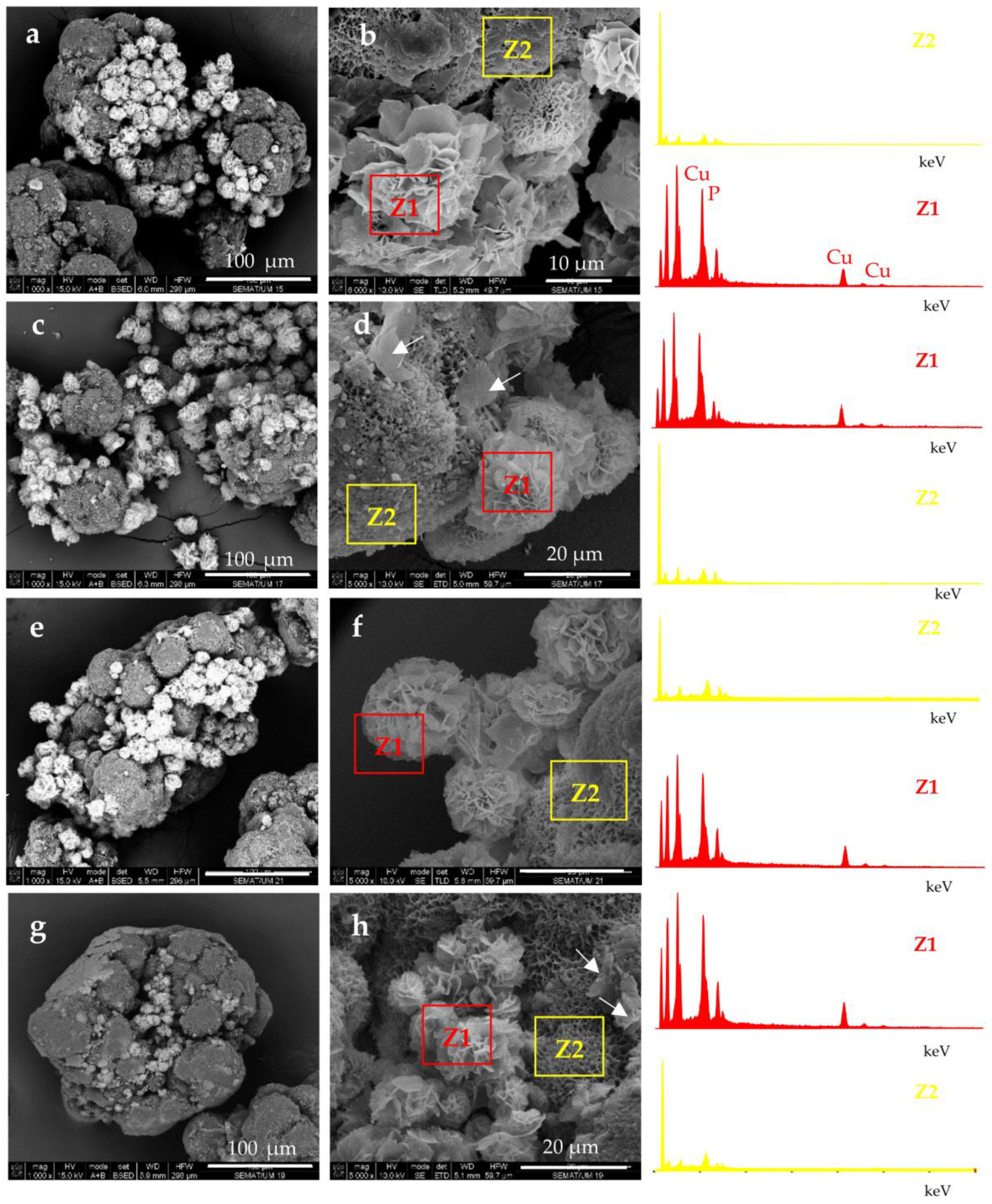 Molecules 28 00839 g003