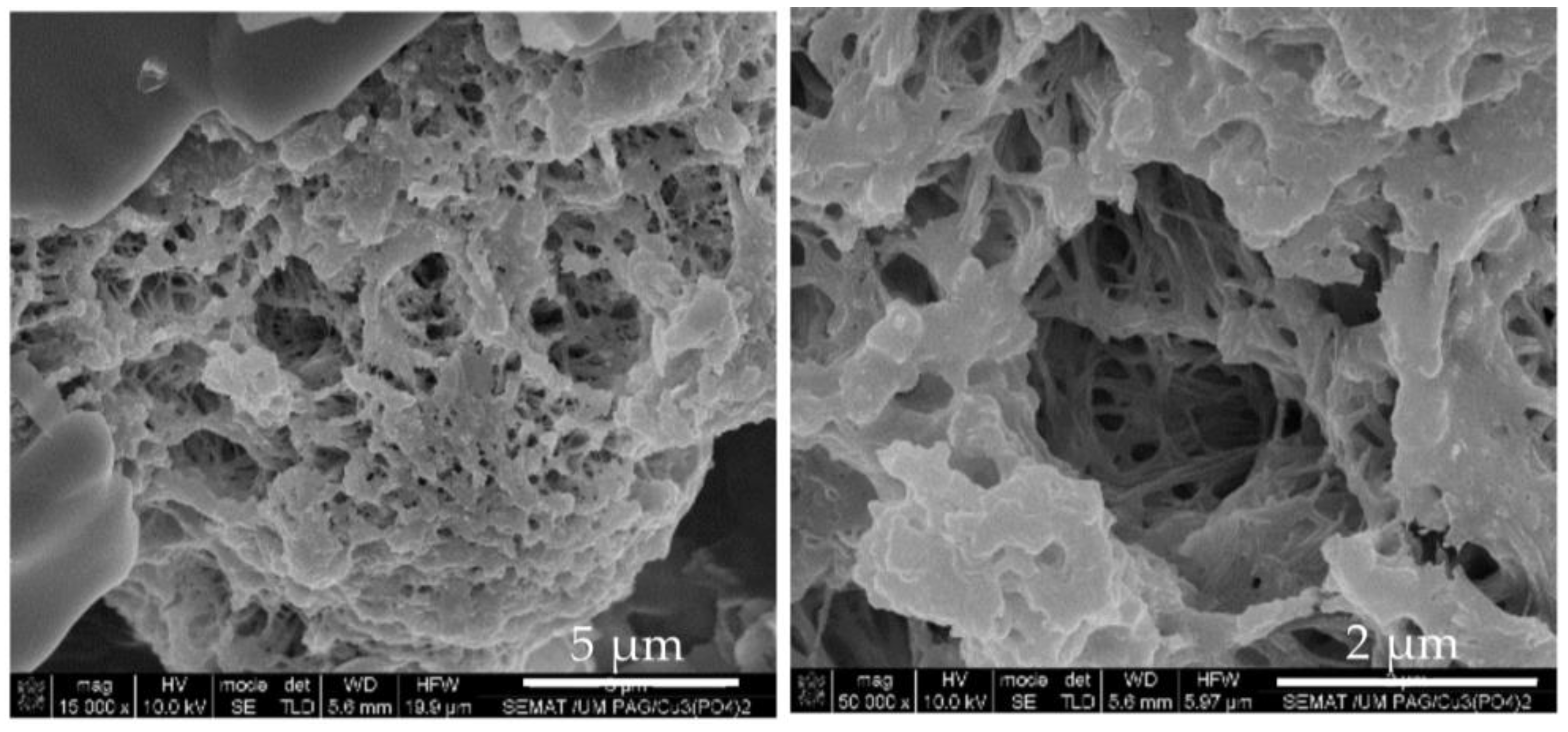 Molecules 28 00839 g004b