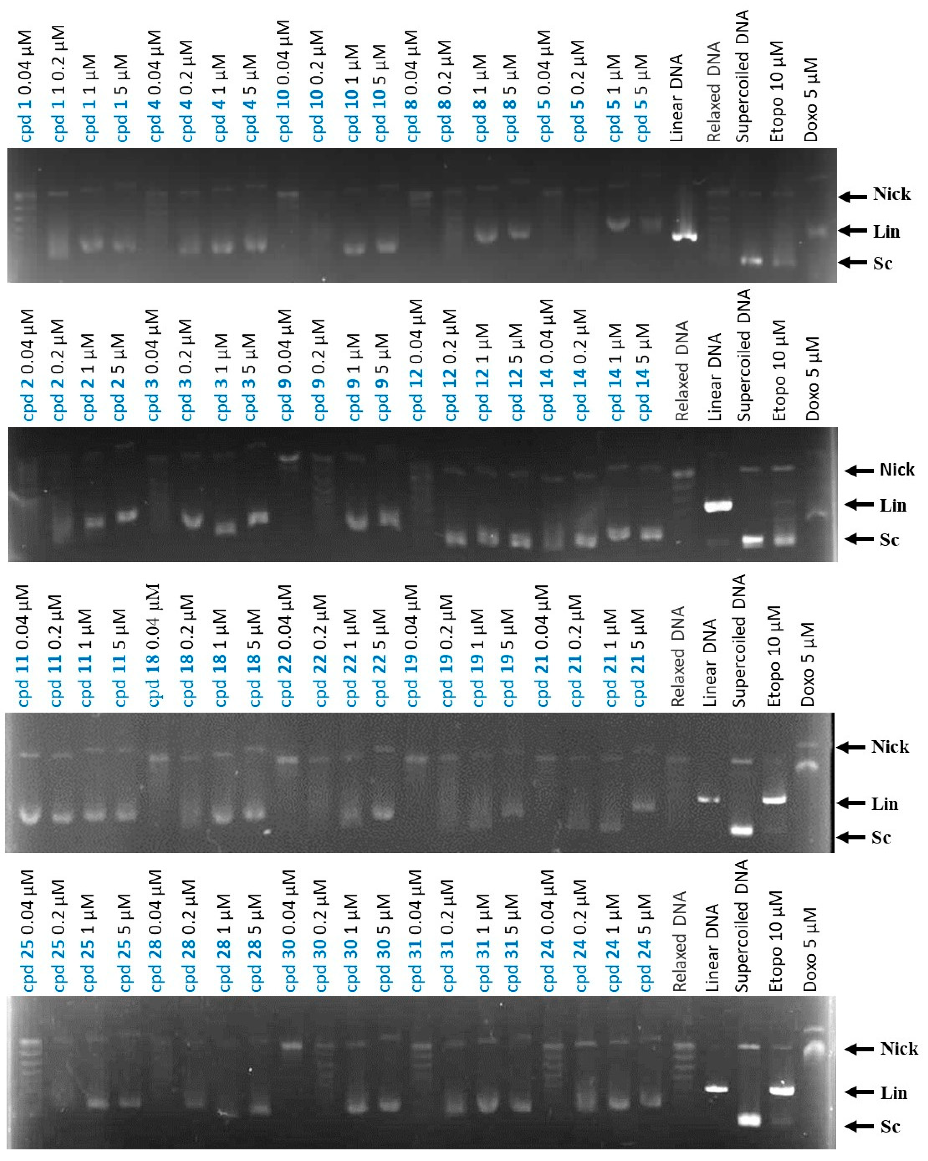 Molecules 28 00840 g002