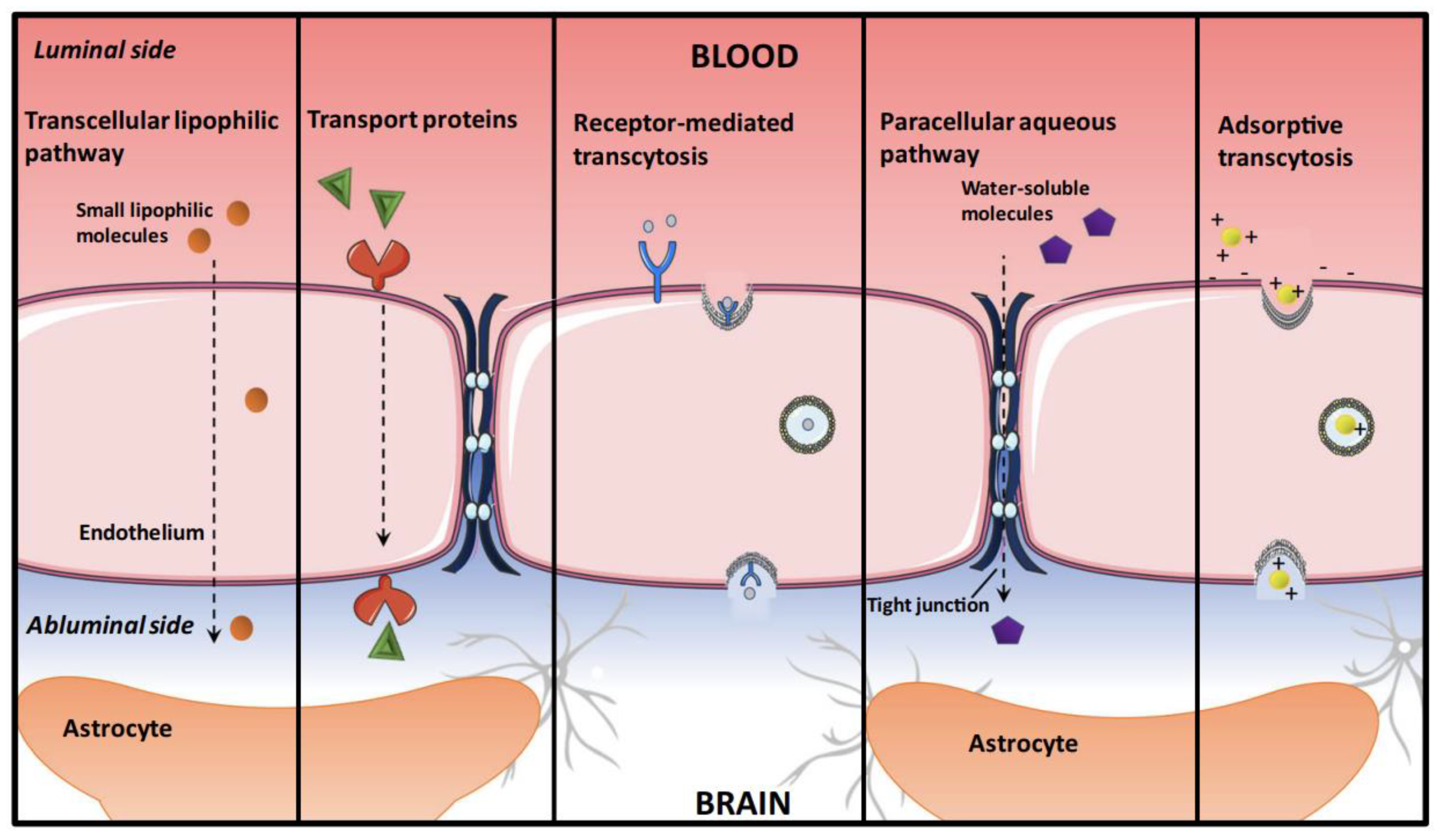 Molecules 28 00841 g001 Molecules 28 00841 g001