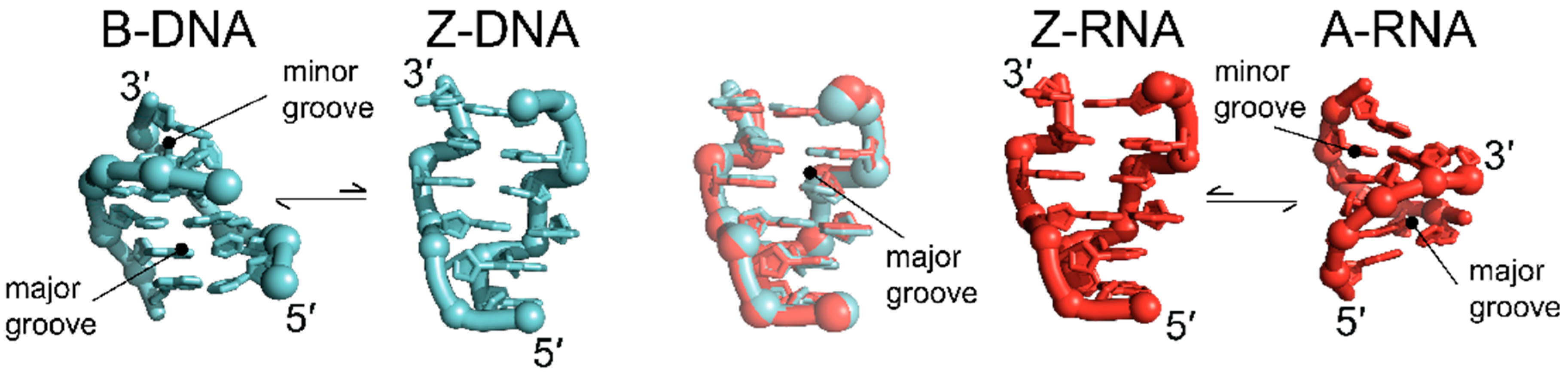 Molecules 28 00843 g001