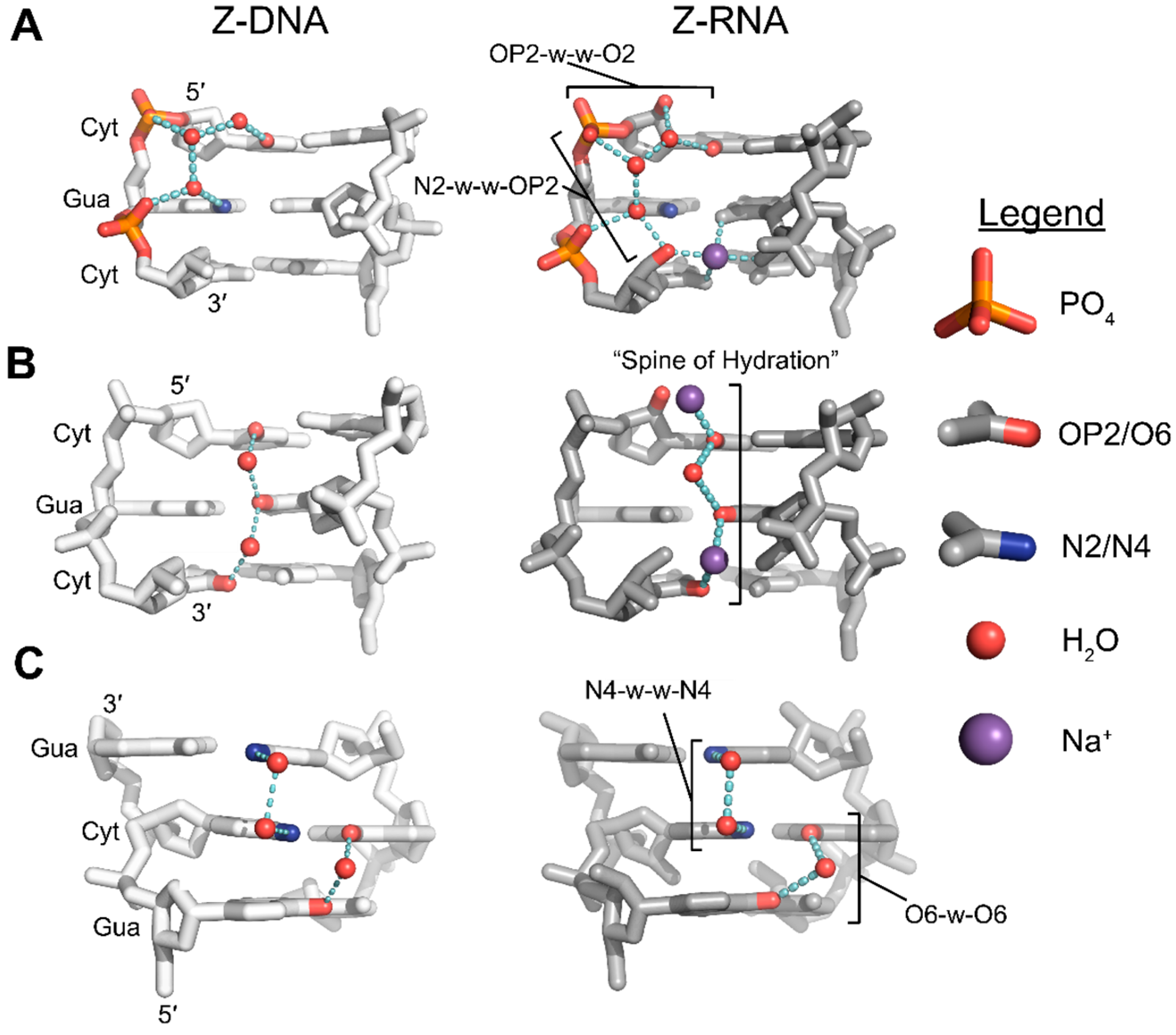 Molecules 28 00843 g005