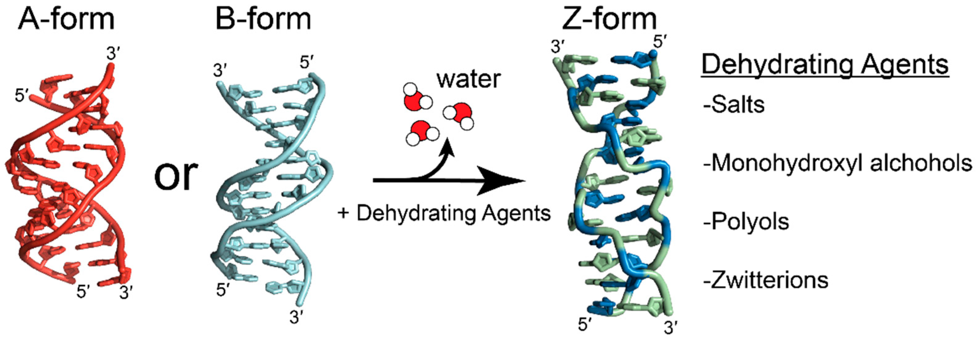 Molecules 28 00843 g011