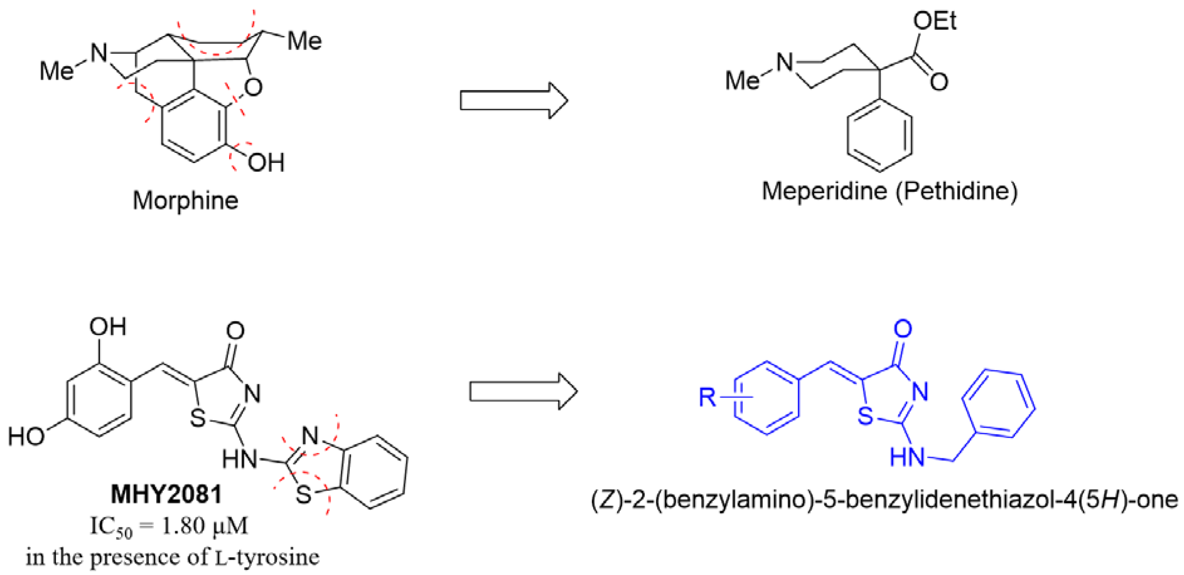 Molecules 28 00848 g001
