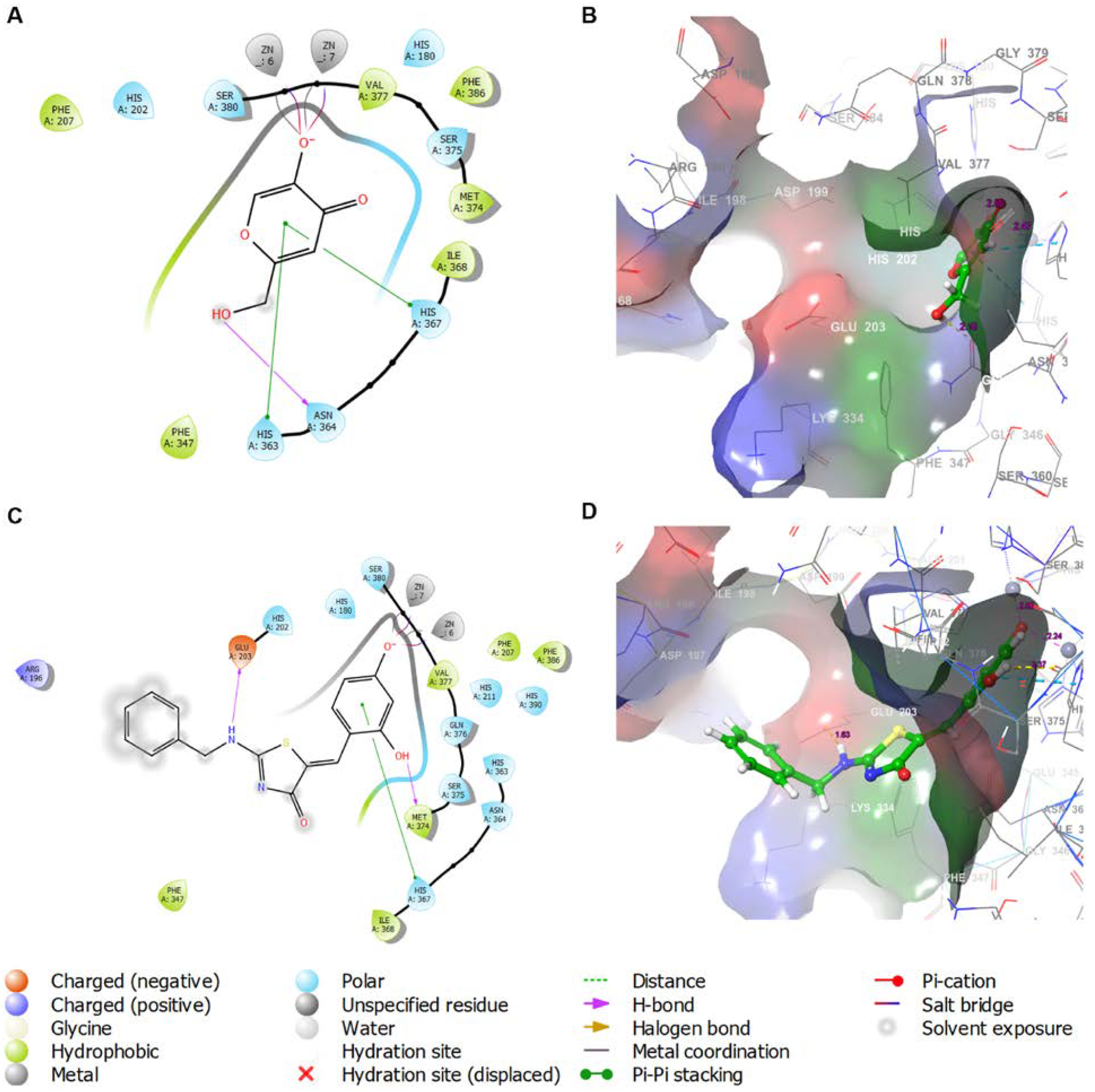 Molecules 28 00848 g006