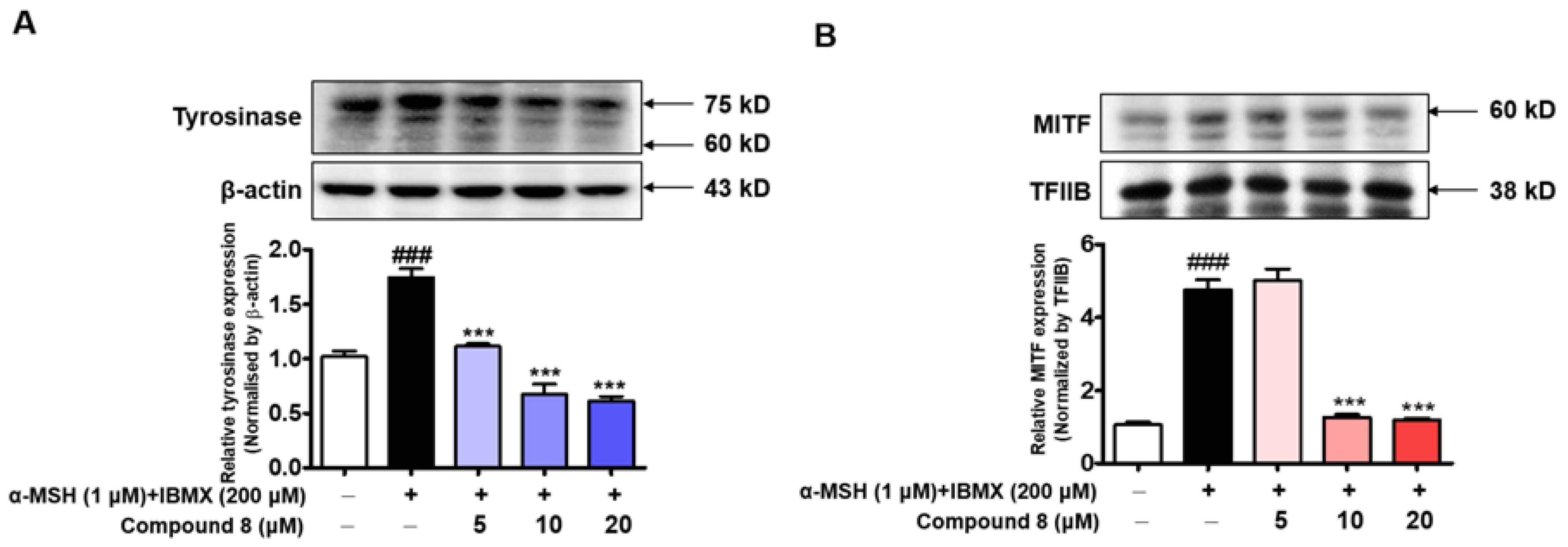 Molecules 28 00848 g013