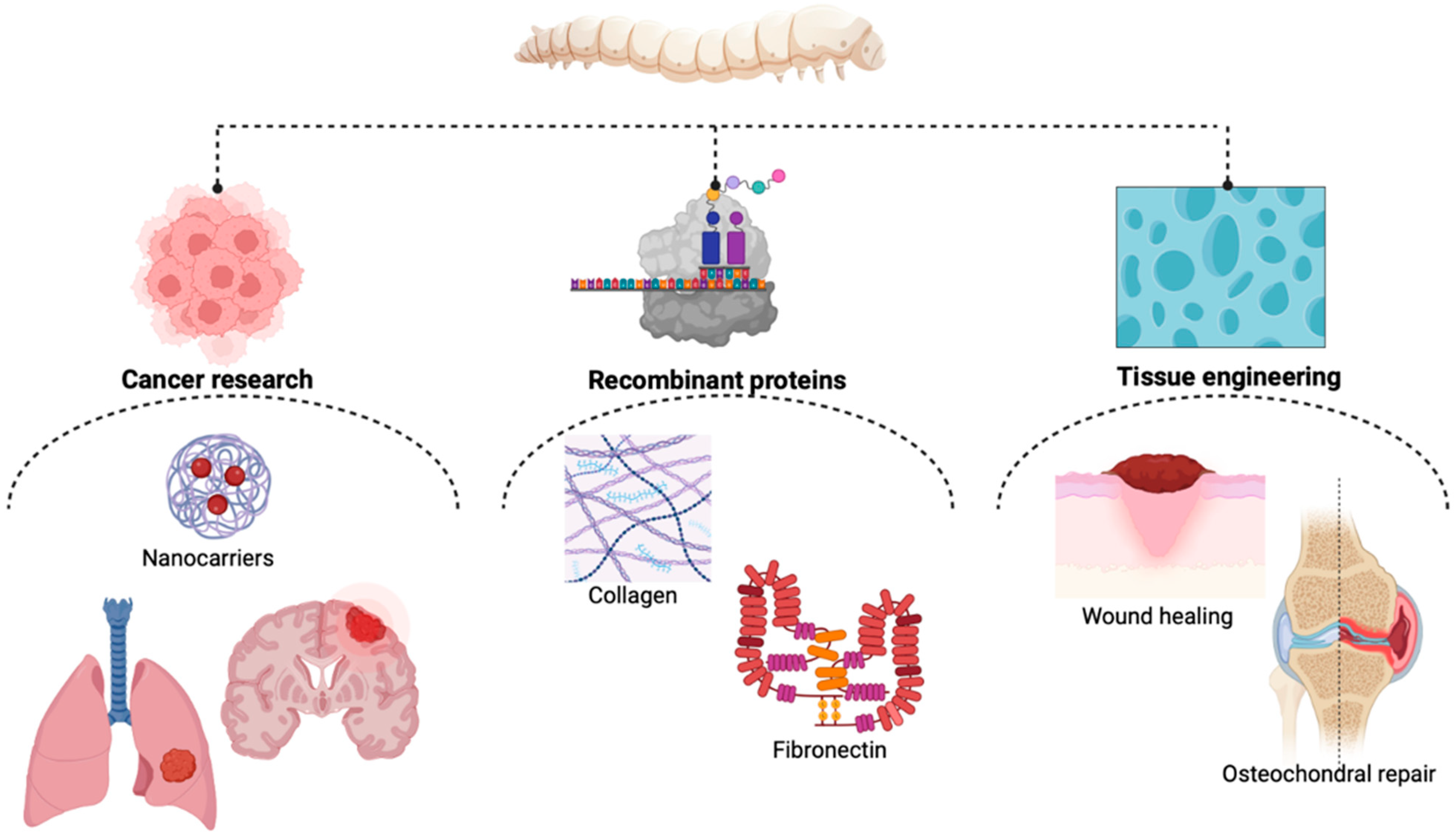 Molecules 28 00850 g001 Molecules 28 00850 g001
