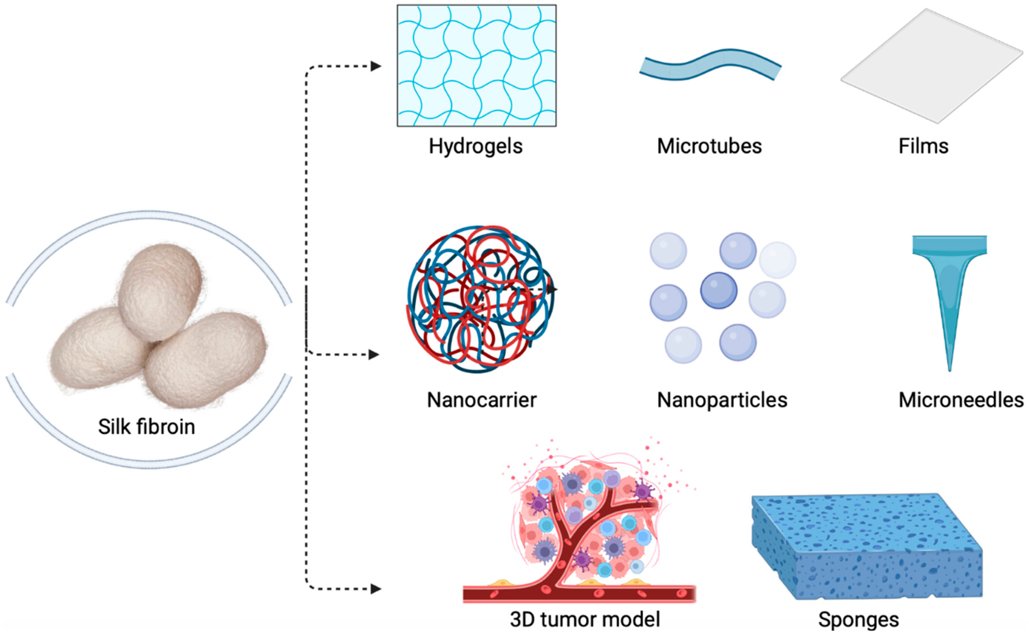 Molecules 28 00850 g002 Molecules 28 00850 g002