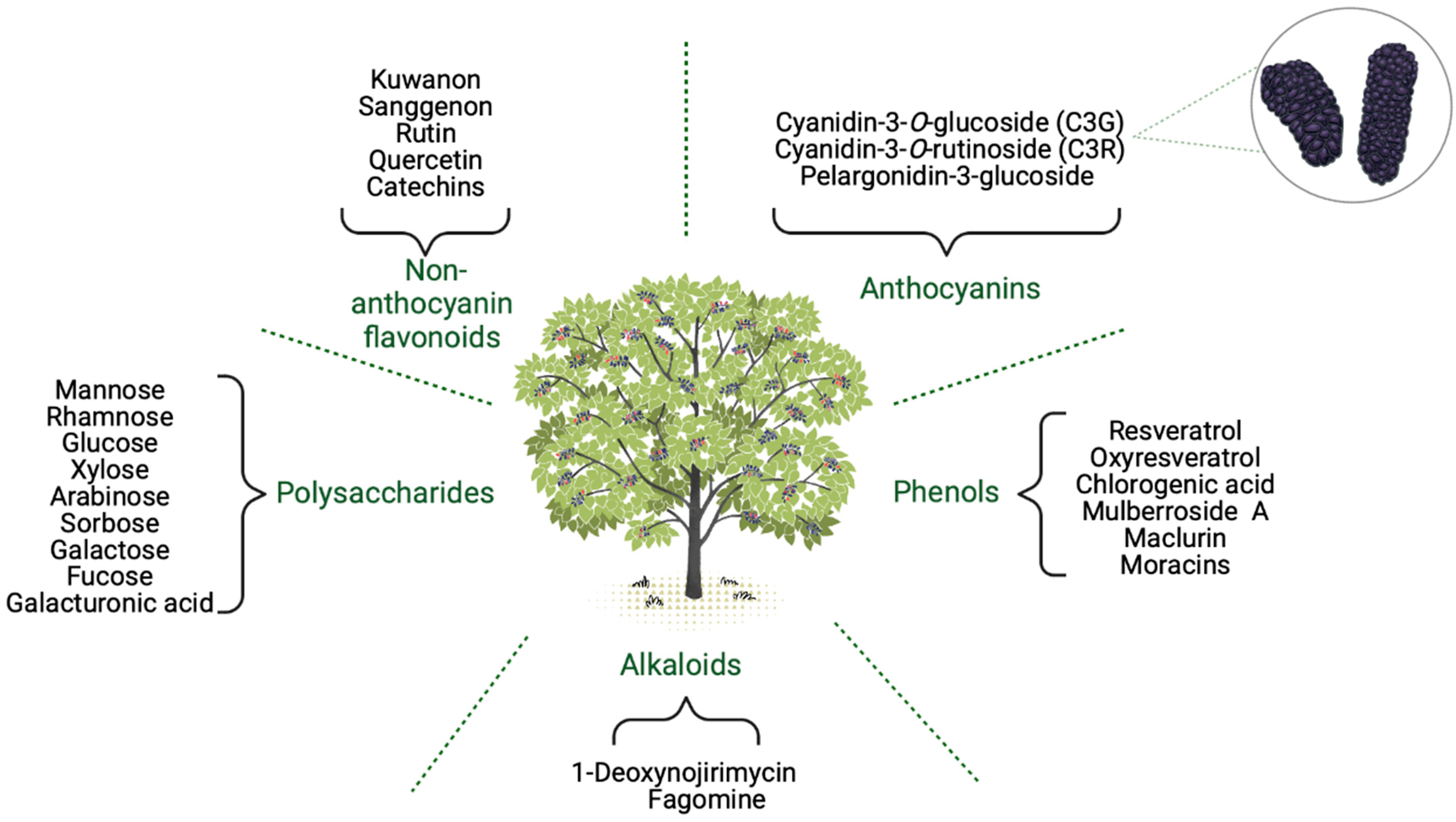 Molecules 28 00850 g003 Molecules 28 00850 g003