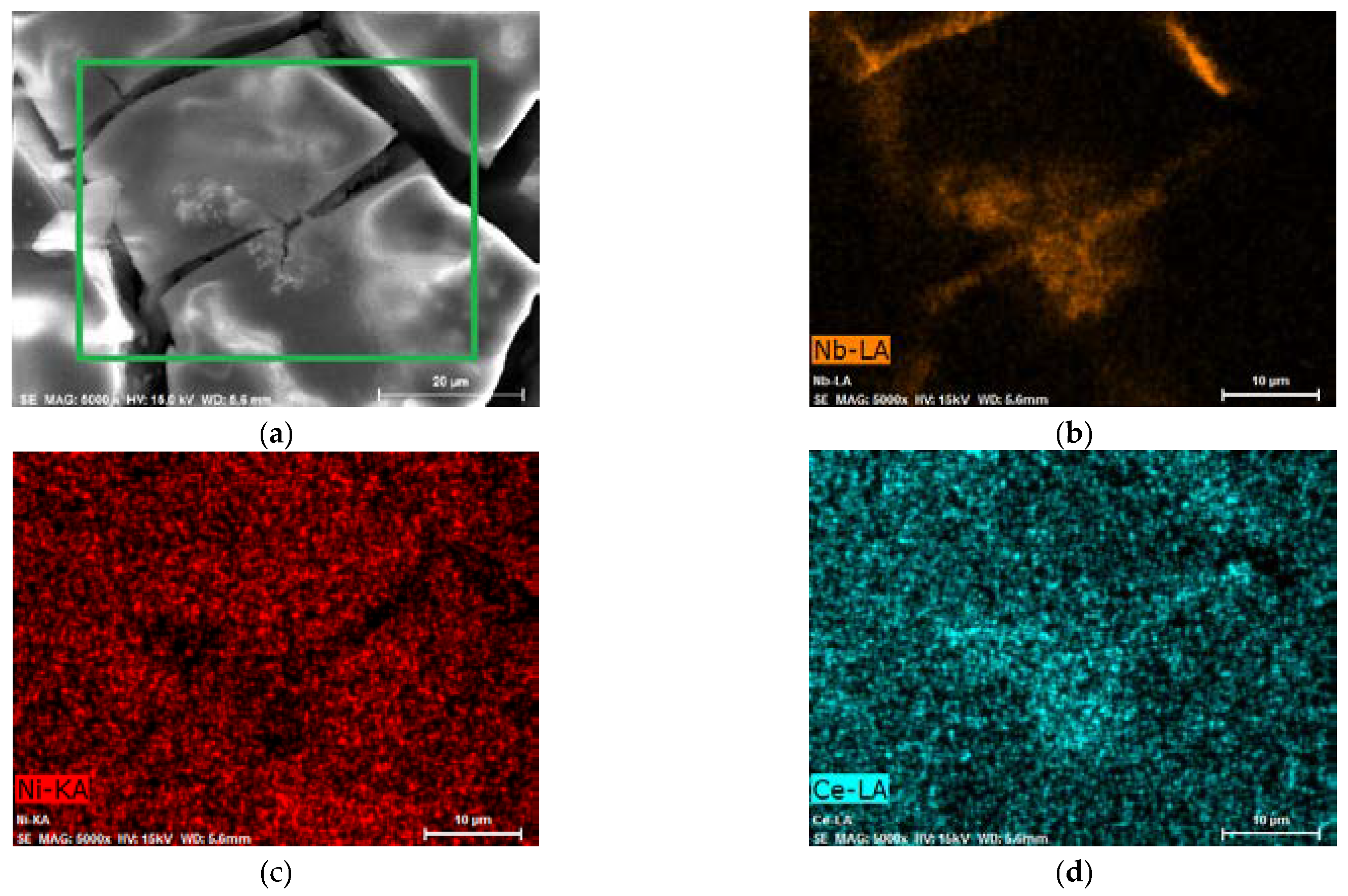 Molecules 28 00856 g003