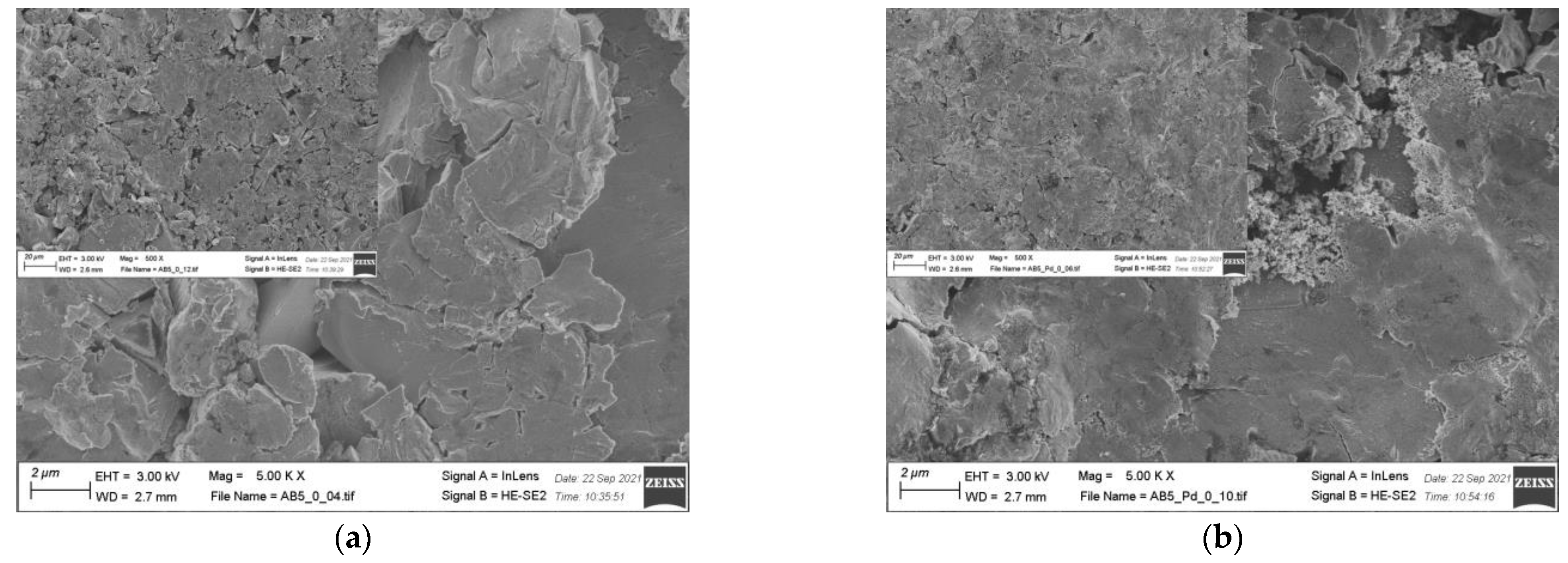 Molecules 28 00856 g005a