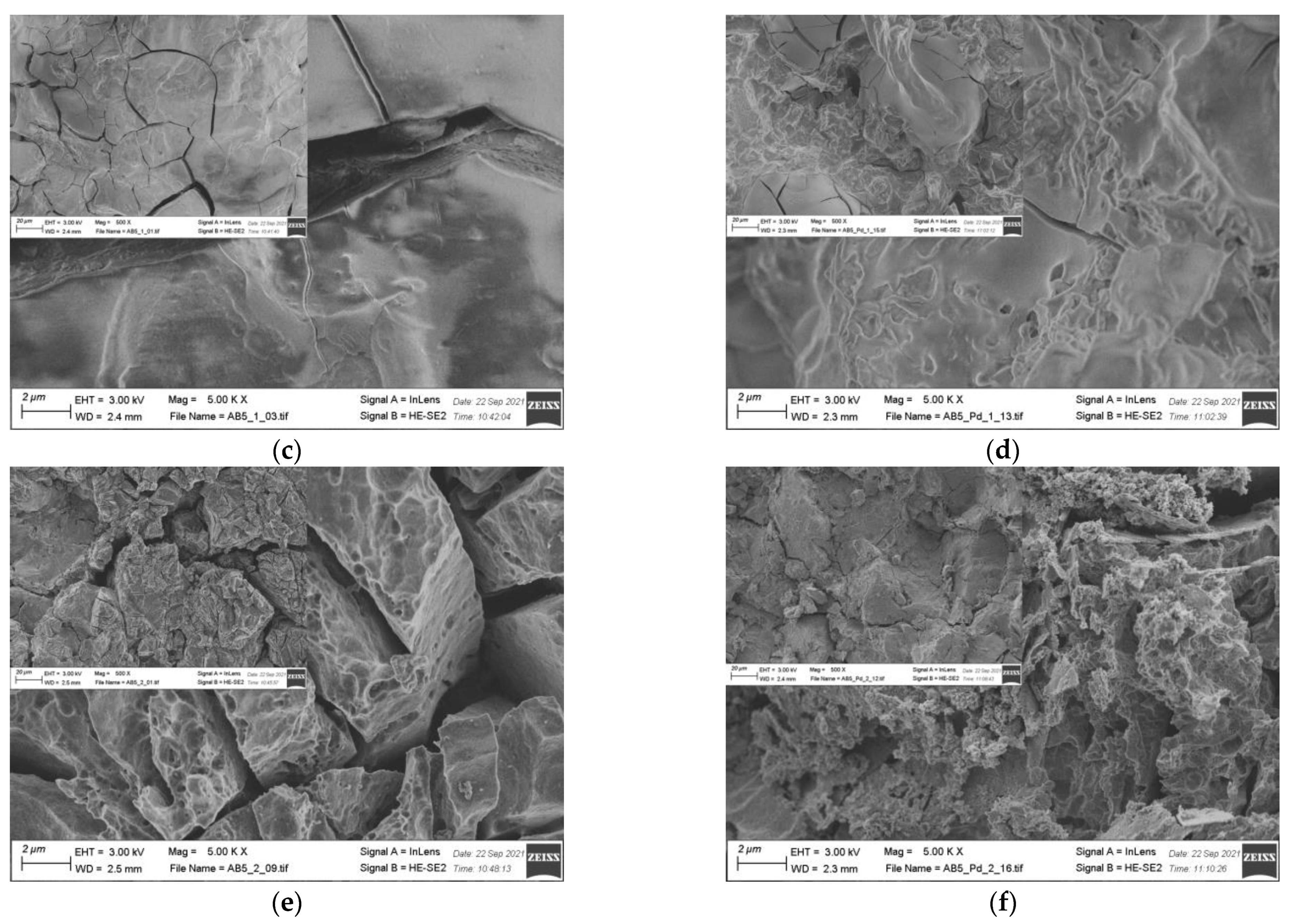 Molecules 28 00856 g005b