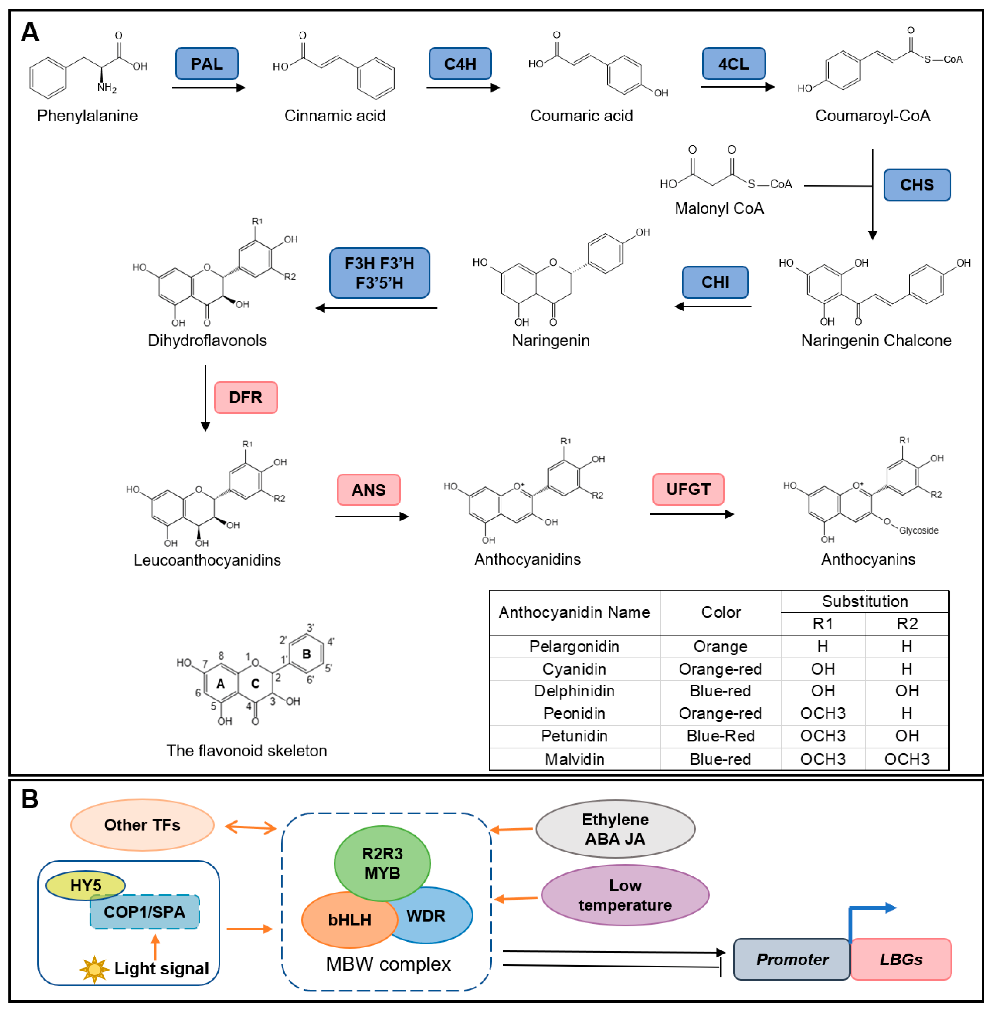 Molecules 28 00866 g001