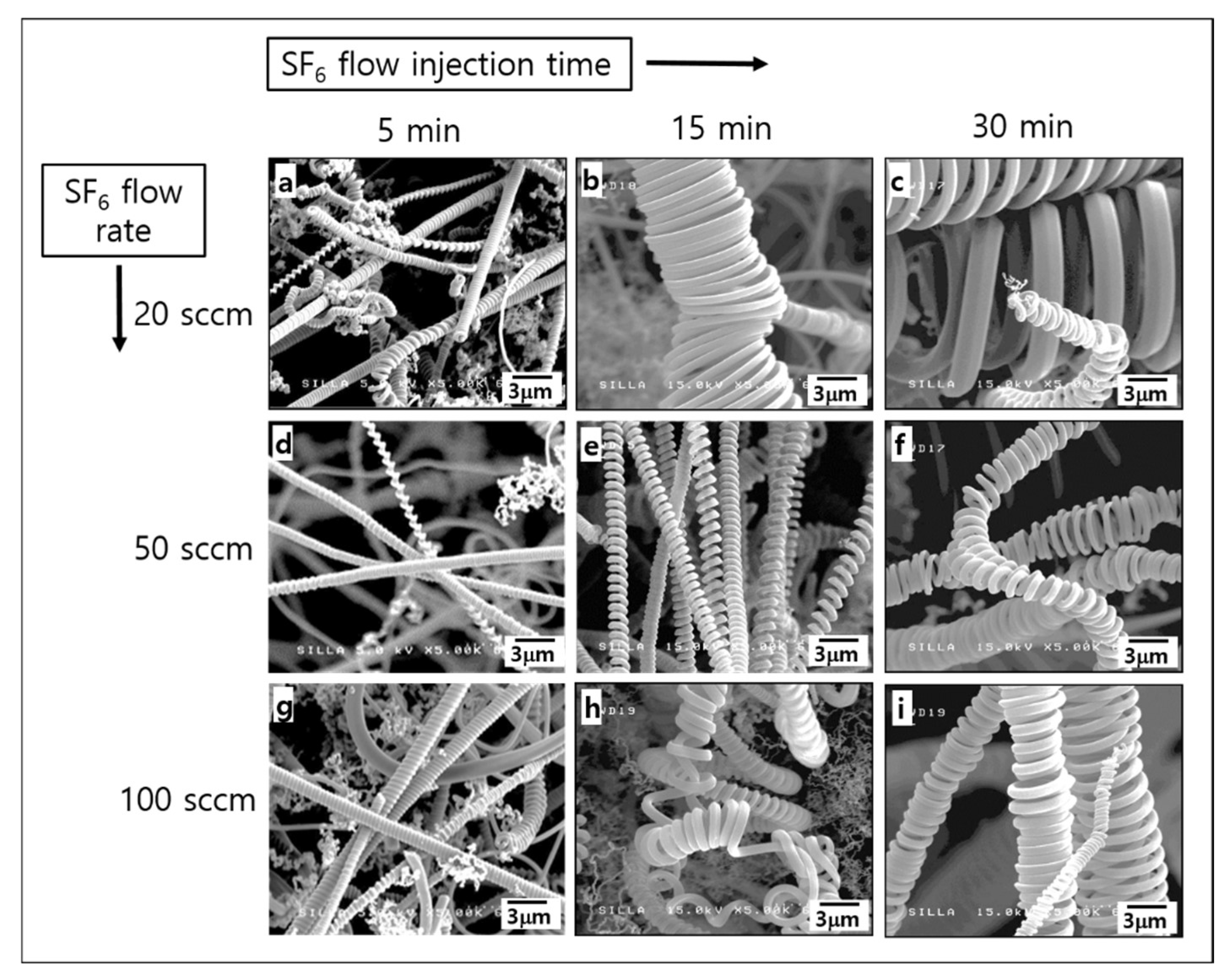 Molecules 28 00870 g001