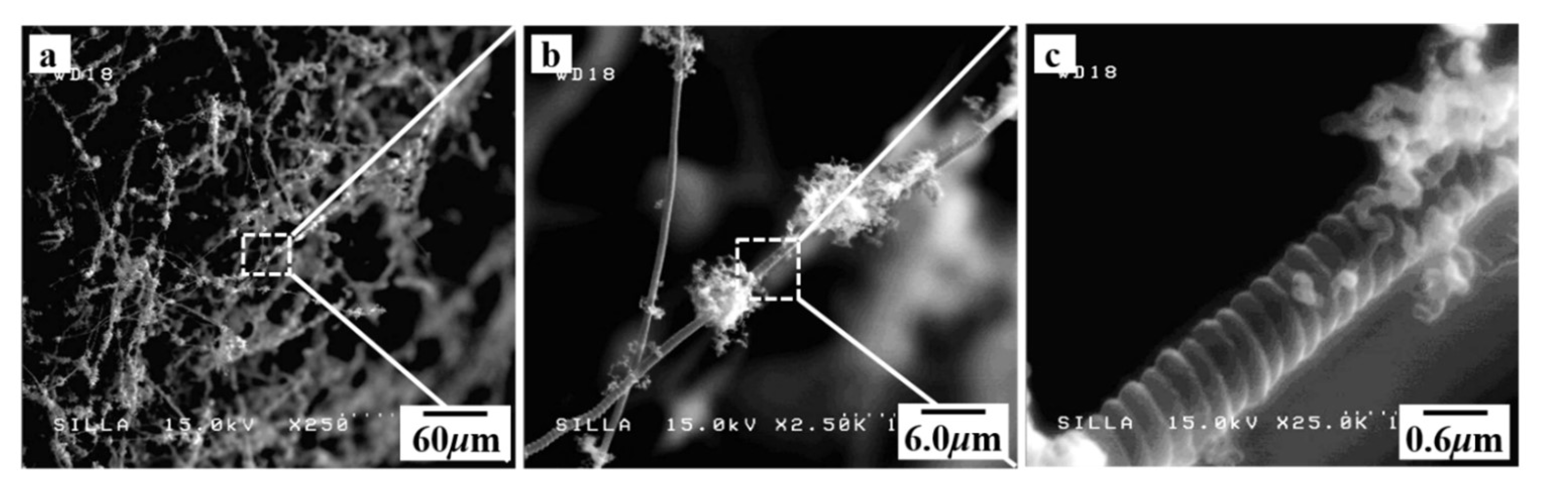 Molecules 28 00870 g002